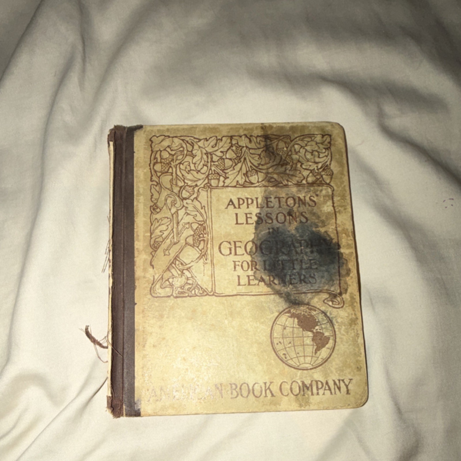 Late 1800s American Book Company Lessons in Geography for Little Learners Hard