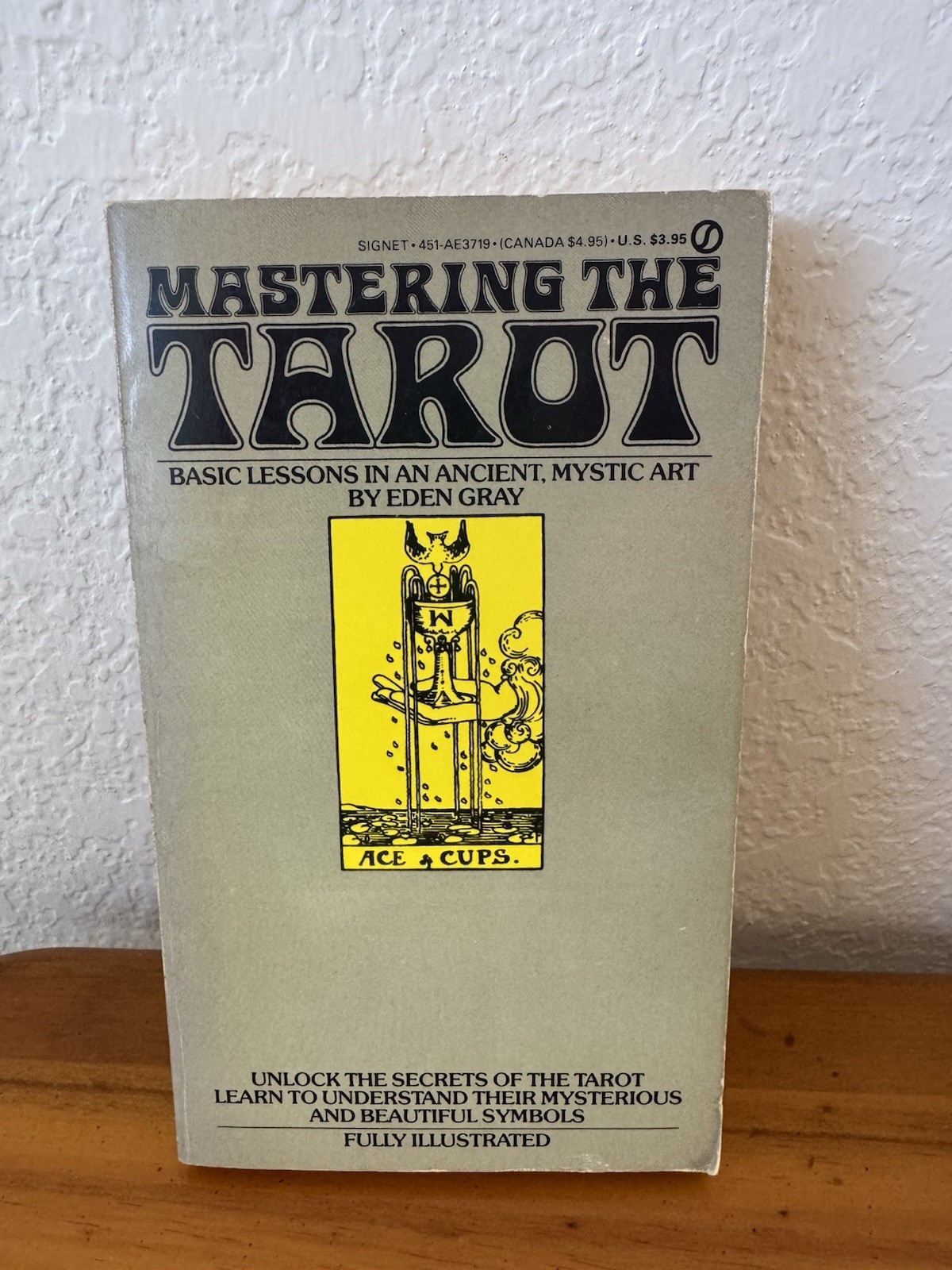 1971 Mastering The Tarot Eden Gray – Vintage Tarot Fortune Telling Book