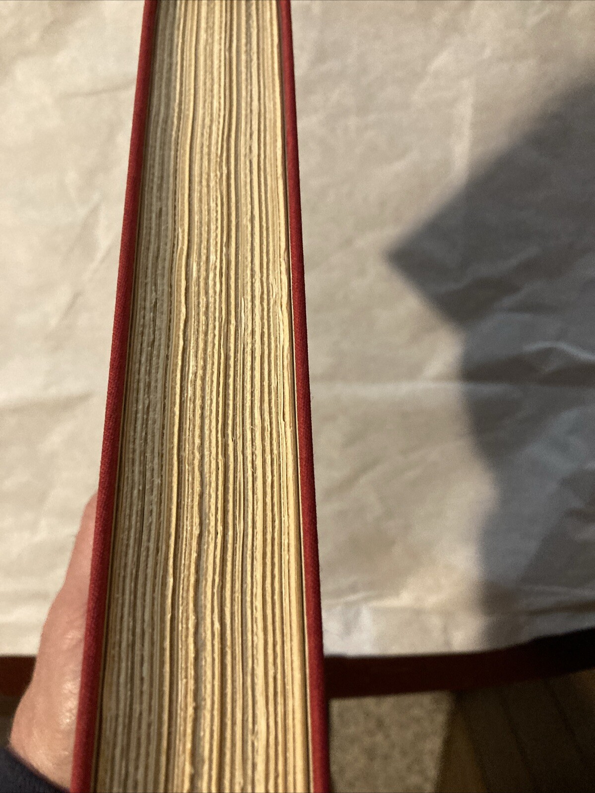 The Tin Drum (HCDJ, 1962, First US Edition & Printing) Gunter Grass