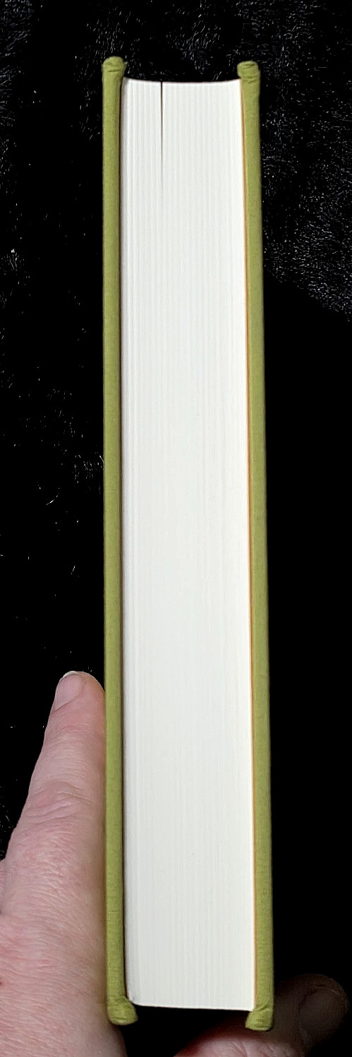 The Quest of Ruru~ J. Michaud PH.D.~ Aula Lucis & Nova Uma Press- 2025