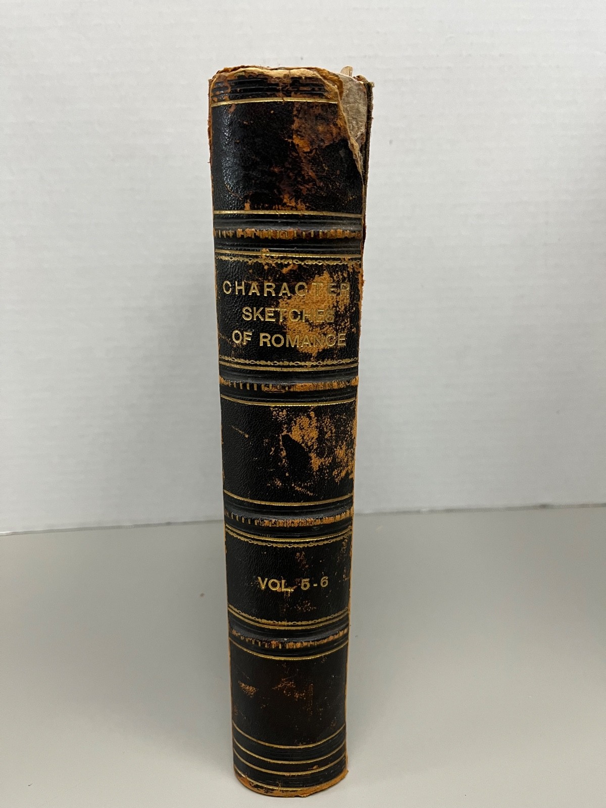 Character Sketches of Romance, Fiction and the Drama 1897 Volumes 5-6