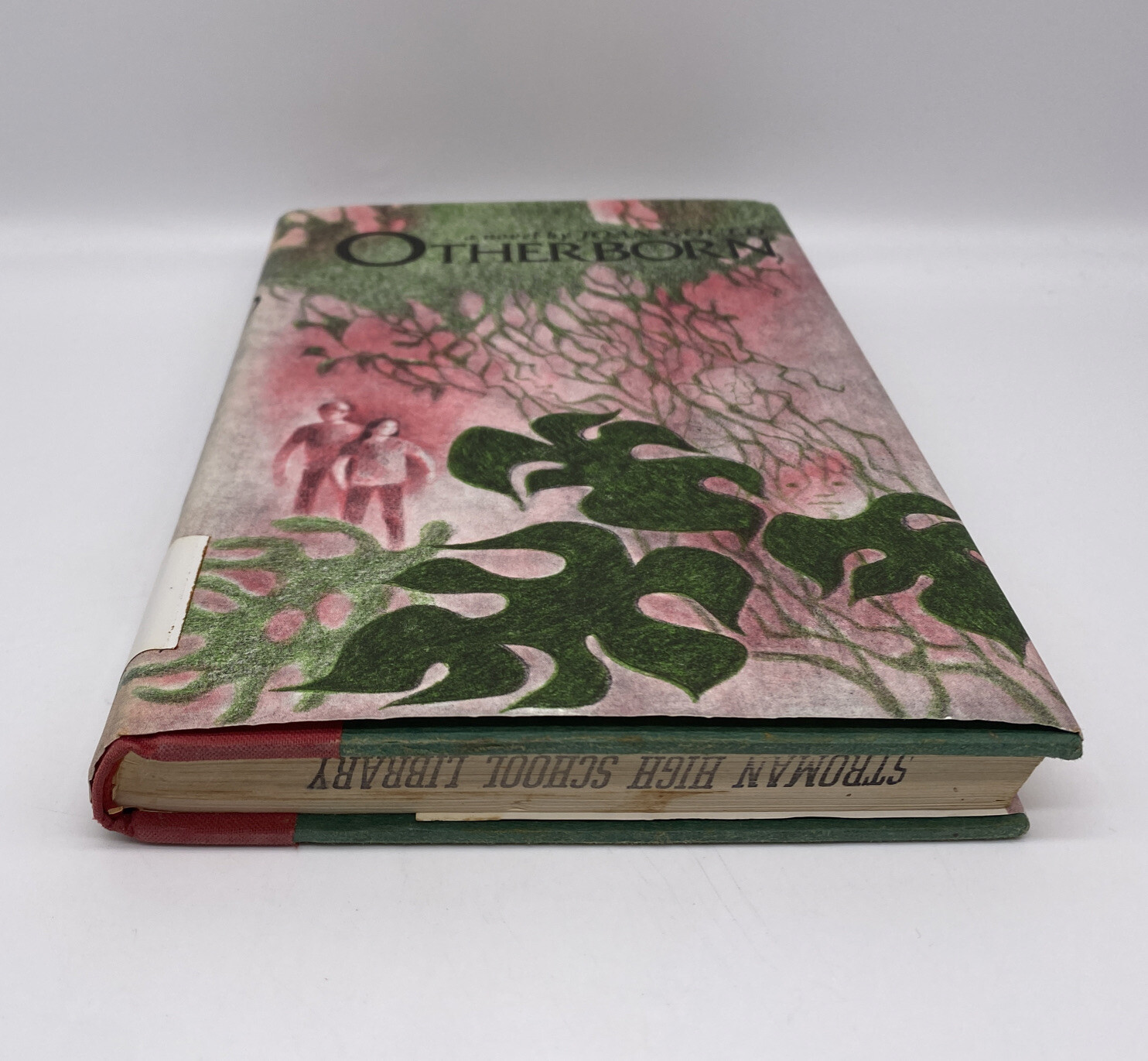 Otherborn First Edition First Printing Joan Gould Vintage Hardcover With DJ
