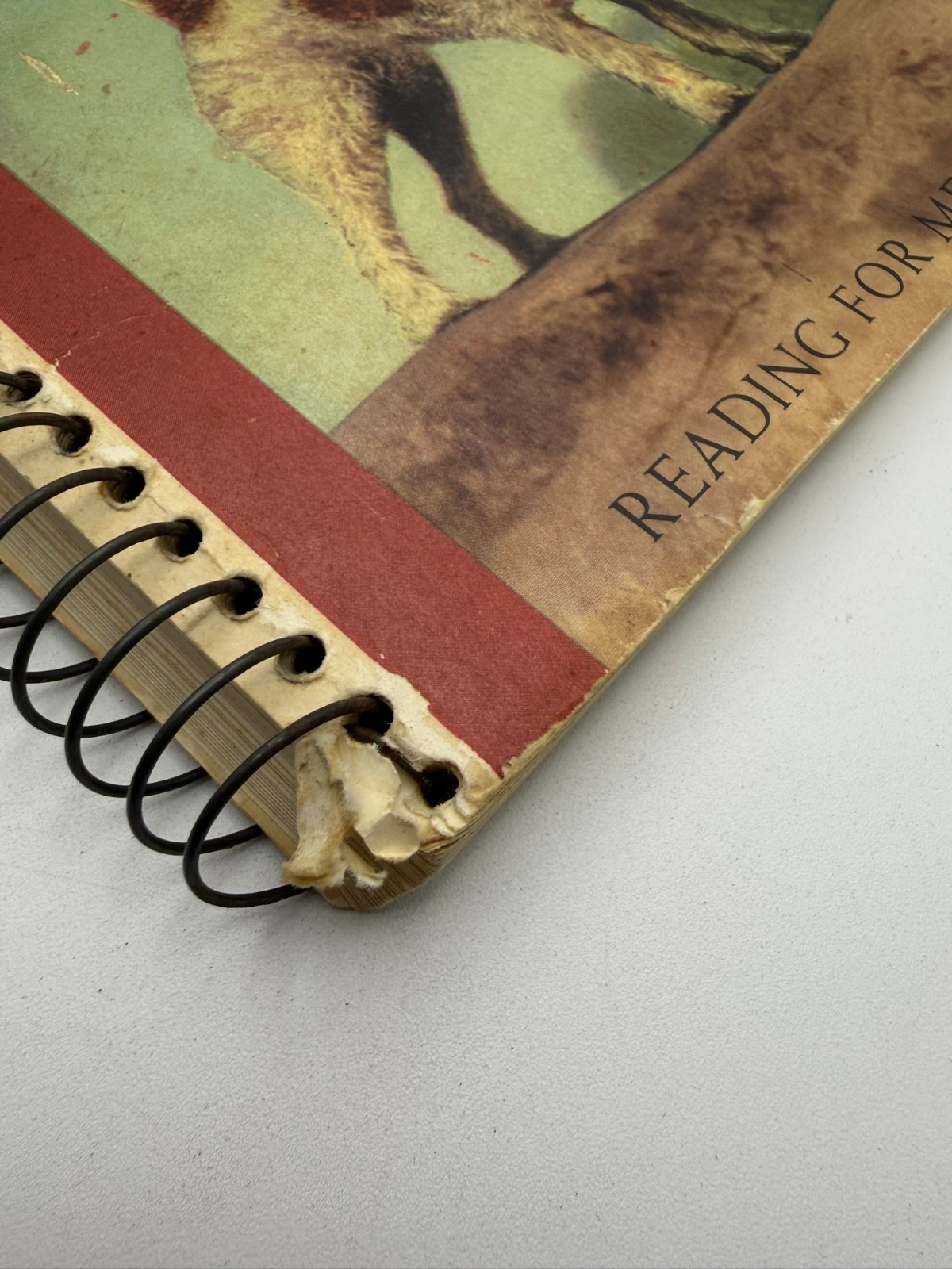 1957 Tip Reading For Meaning Teacher’s Edition Houghton Mifflin Spiral Manual