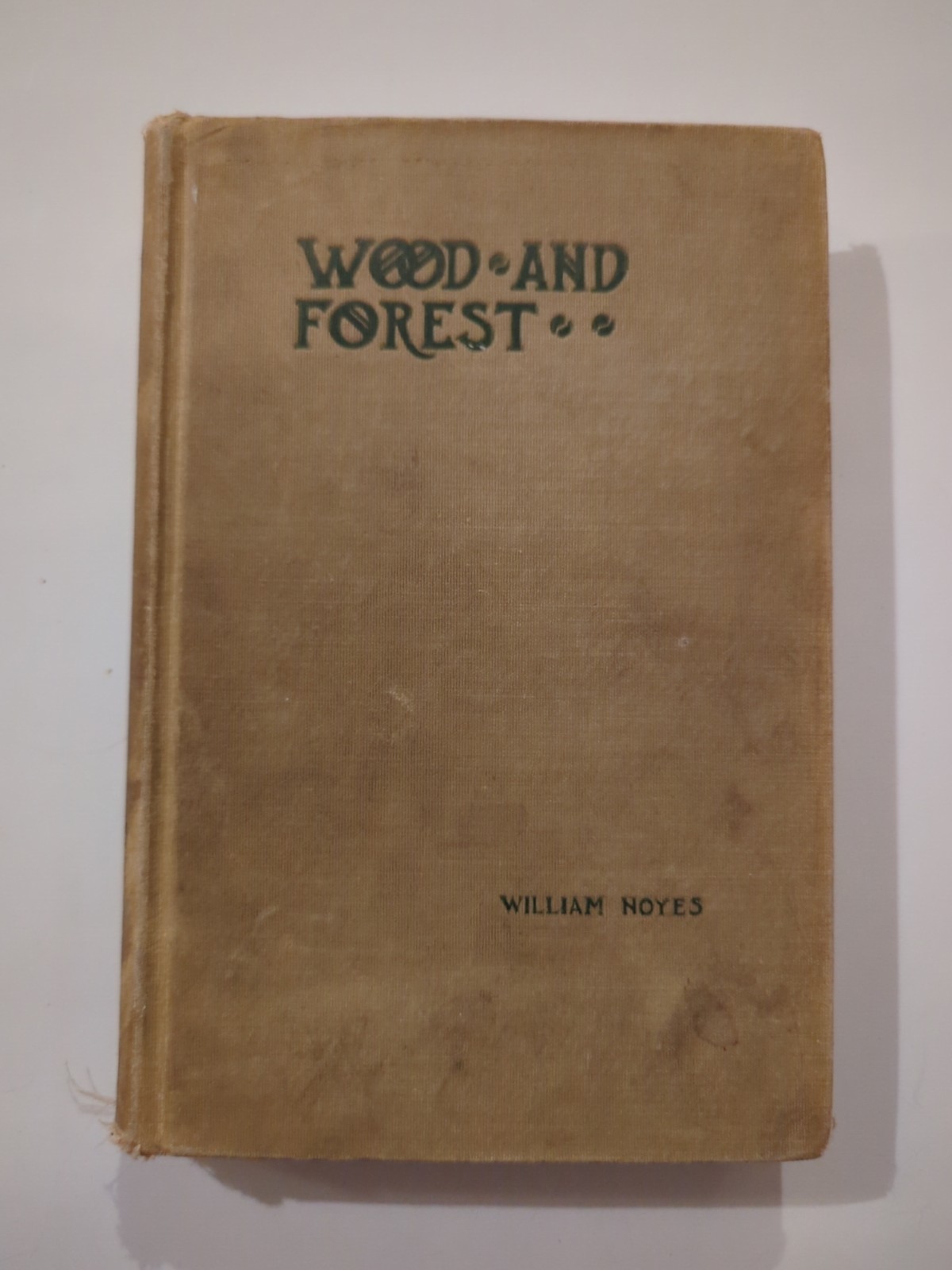 Wood and Forest by William Noyes Educational Vtg 1912 HC Vtg Manual Arts Press