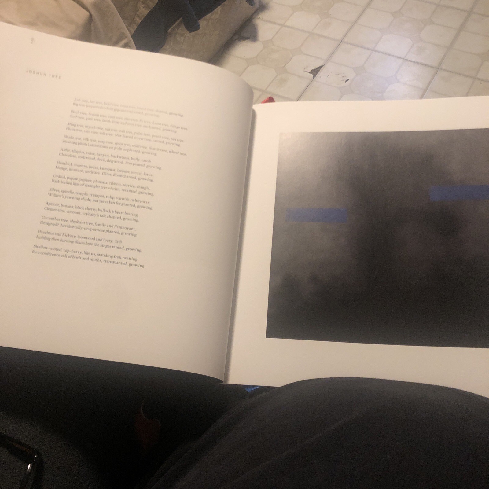 SIGNED Limited Edition Edward Ruscha Dirty Baby Silhouettes Cityscapes Slipcase