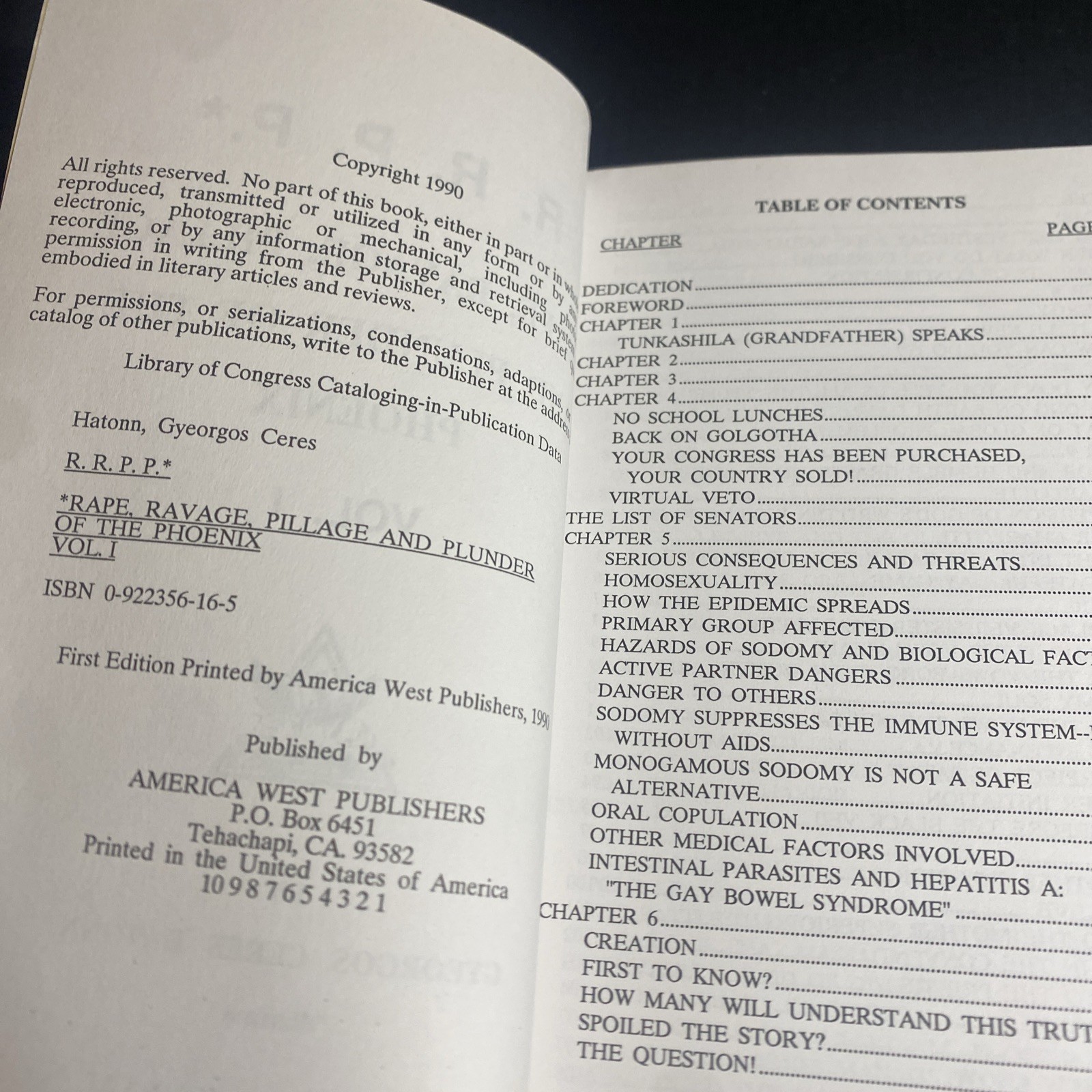 Phoenix Journal, RRPP Rape Ravage Pillage & Plunder of Phoenix Vol. 1 / FHB