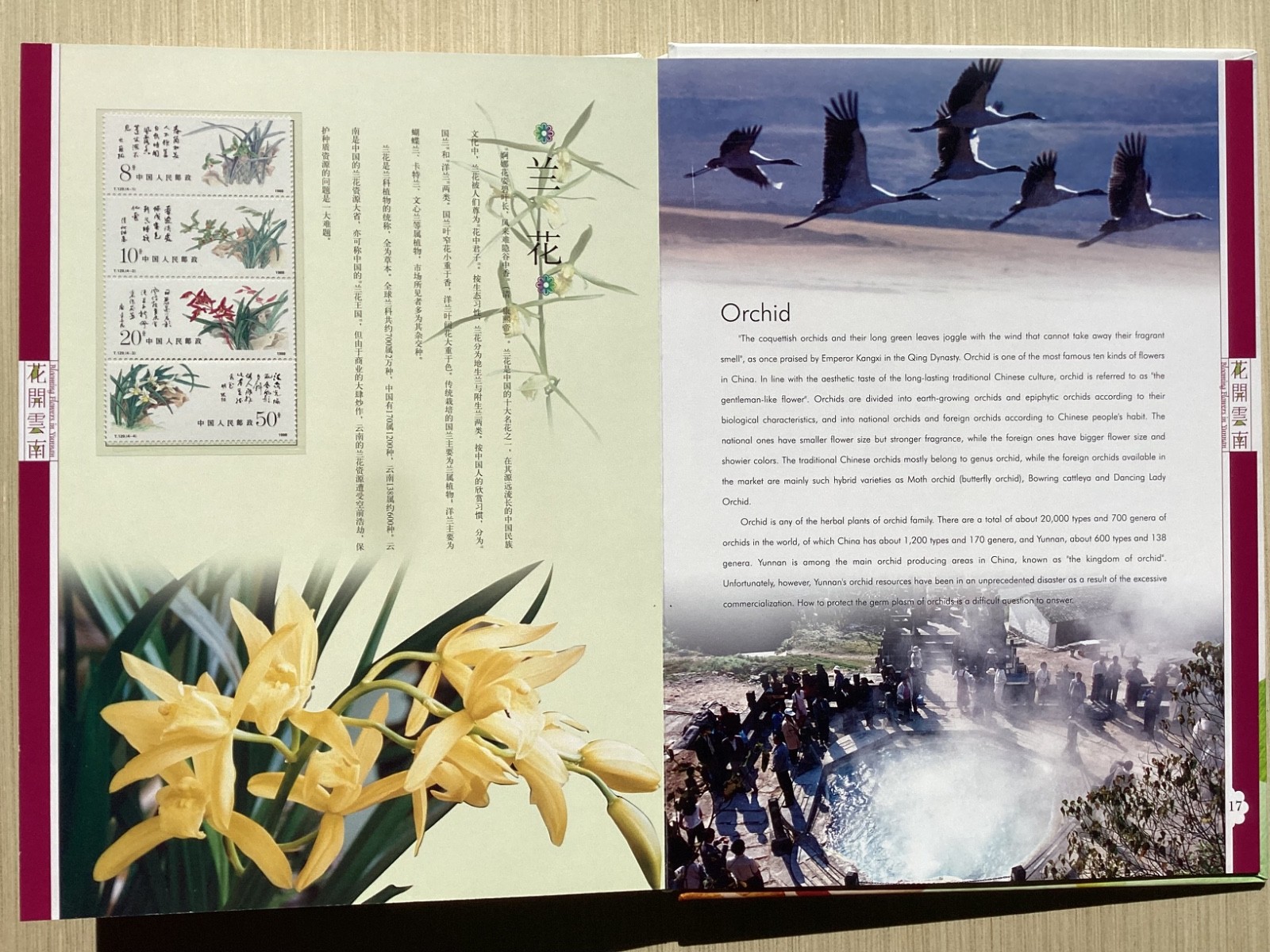 Blooming Flowers in Yunnan with MNH stamps China camellias etc in clamshell box