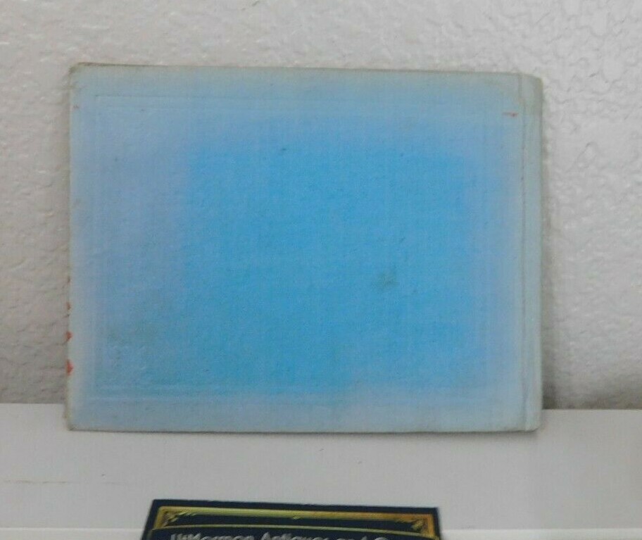 A REFLEX of SALT LAKE CITY and VICINITY by C R Savage HB Utah 1900’s Art Bazar