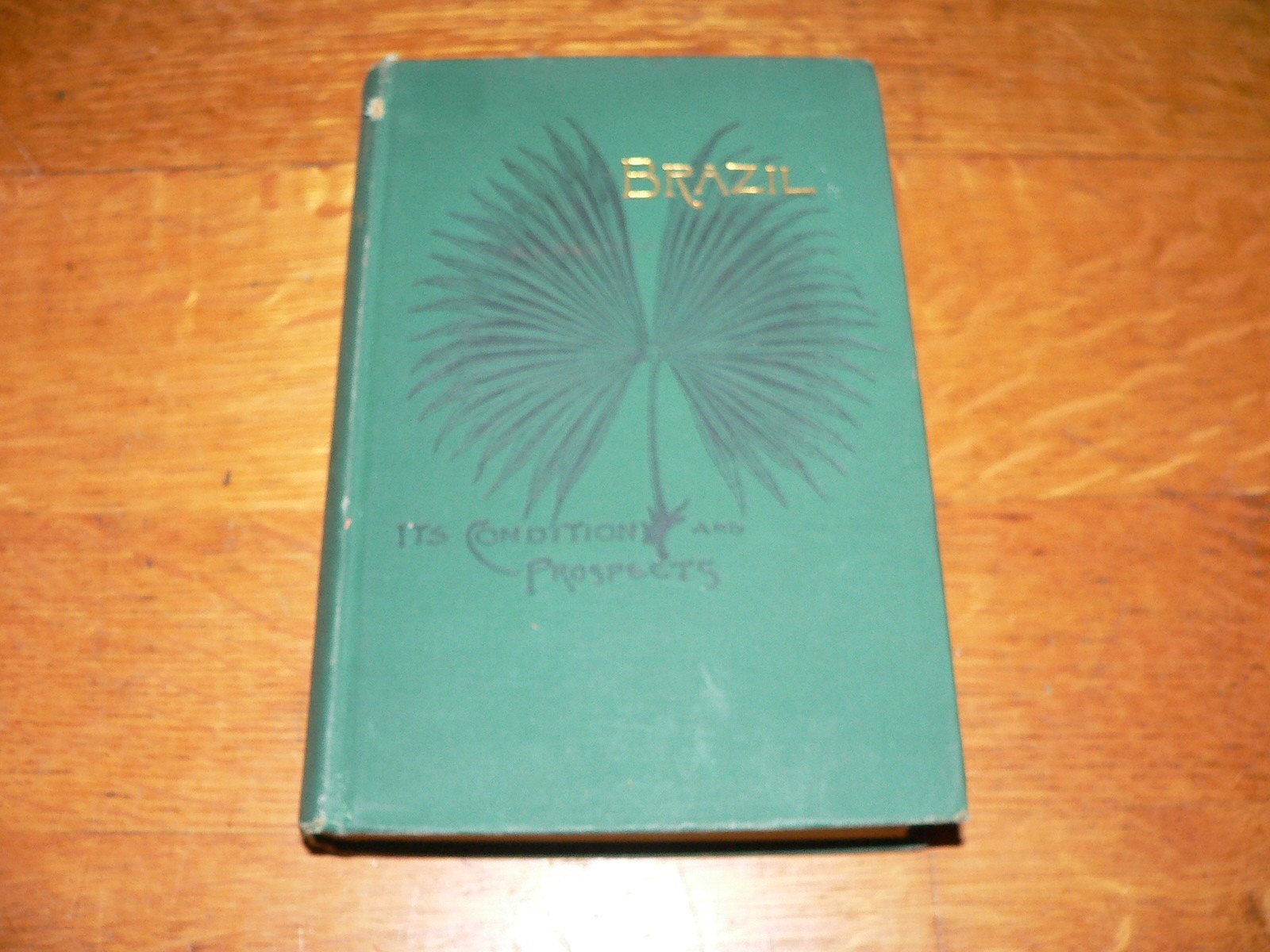 Antique 1891 „Brazil, Its Conditions and Prospects“ HC Book by C.C. Andrews