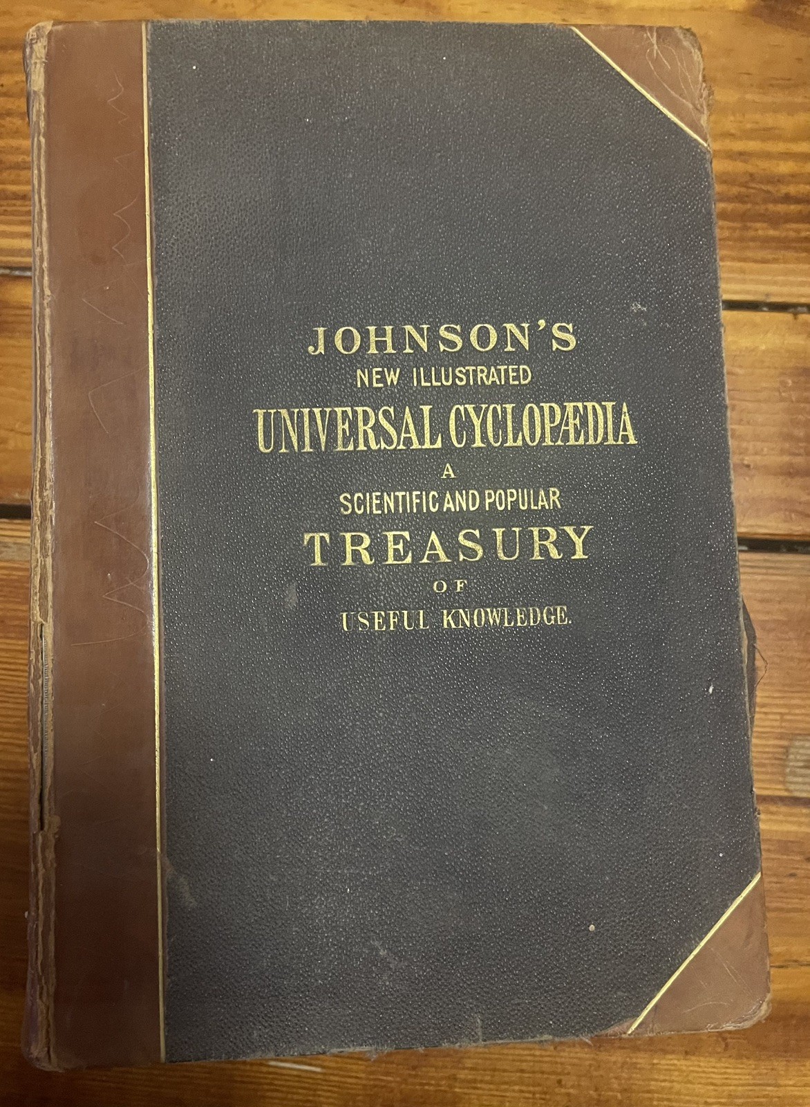 Johnson’s New Universal Cyclopaedia: A Scientific & Popular….4 Vols, 1878