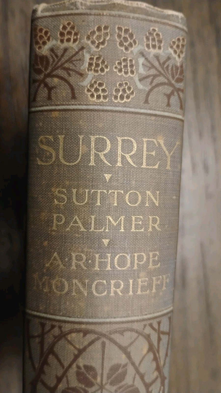 ? 1906 1st Ed. SURREY | A&C Black | DJ | 75 Plates | Near Fine | RARE