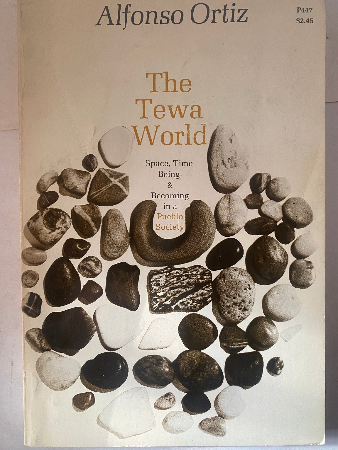 The Tewa World Alfonso Ortiz Third Impression 1973 Pueblo Society