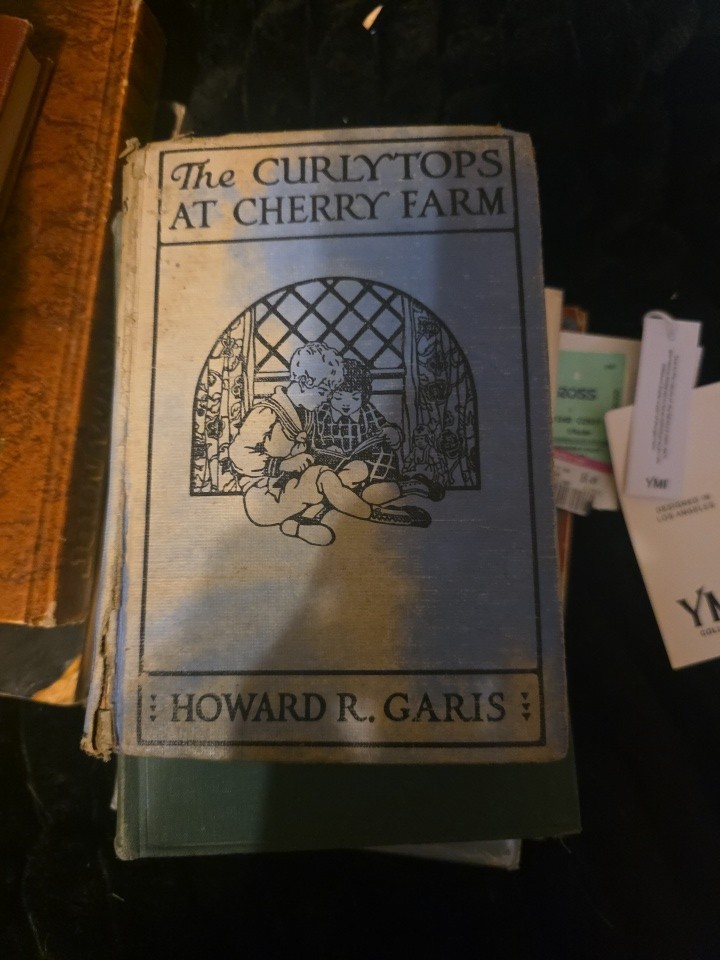 Howard R. Garis The Curlytops at Cherry Farm Illus Cloth HC Cupples NY 1918