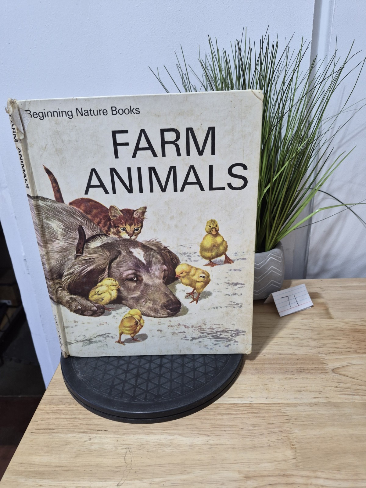Beginning Nature Books : Farm Animals by Martin Andrews 1968 Hardcover