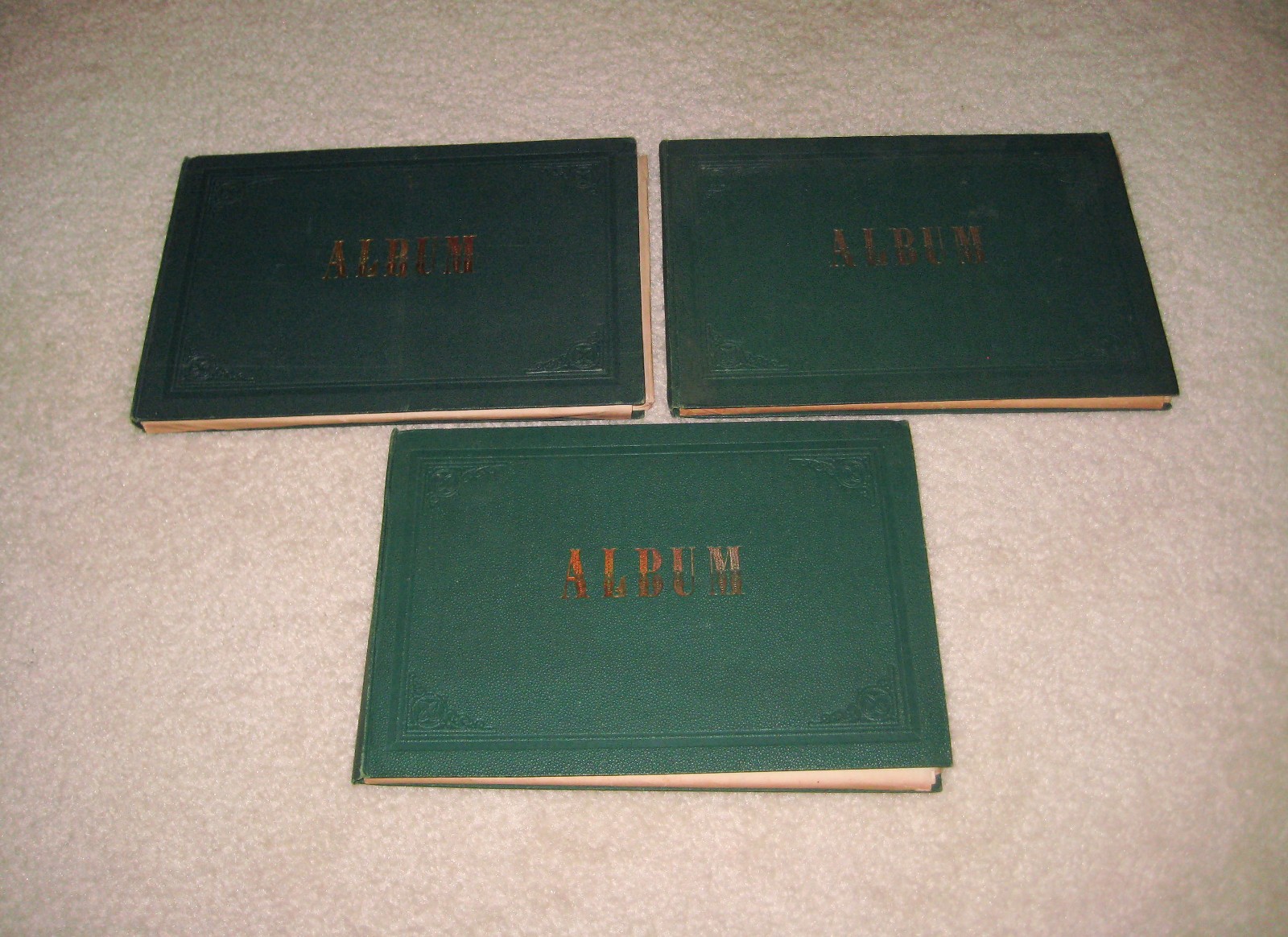 Vintage Album Books 3 volumes Illustrated 100+ Art prints of Germany
