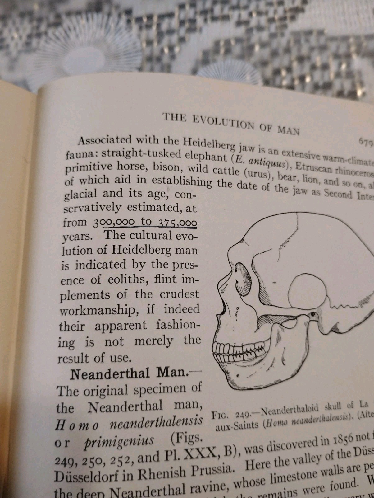 Organic Evolution by Richard Swann Lull 1922 Yale Paleontology Illustrated HC