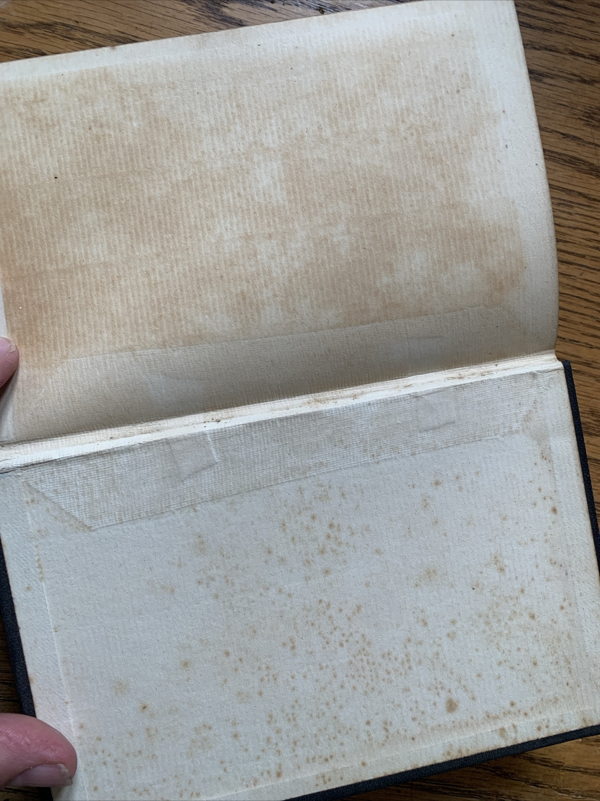 A Queen of Atlantis by Frank Aubrey (First edition) 1899 Hutchinson London