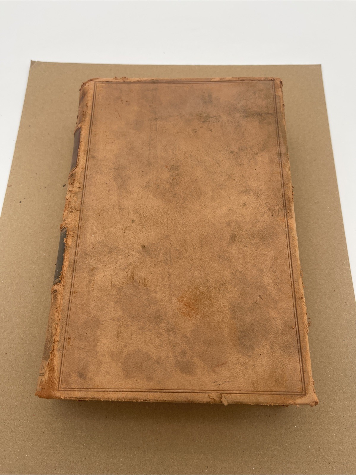 Reports Of Civil & Criminal Cases Kentucky Court Of Appeals / 1907 Volume 18