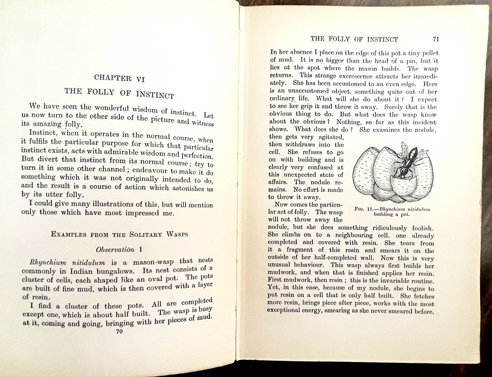 1929 INSTINCT INTELLIGENCE by R. Hingston/B. Russell 1st Ed/hb/296pp INSECTS