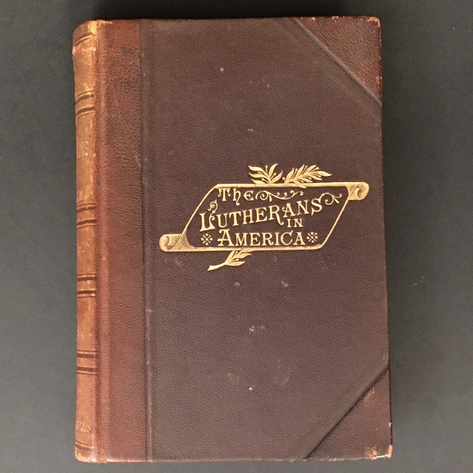 The Lutherans in America by Edmund Jacob Wolf 1890 HB Numerous Illustrations