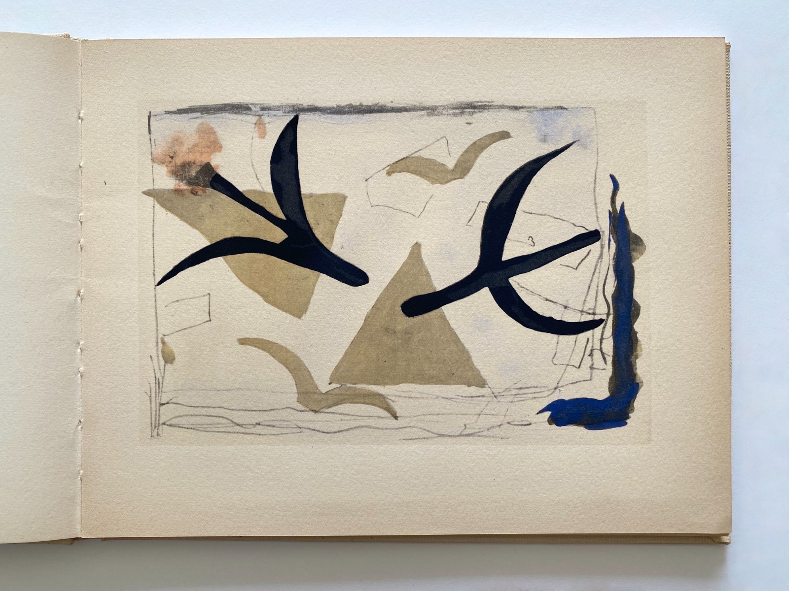 GEORGES BRAQUE RARE 1959 1ST LMTD EDT FINE ART POCHOIR PRINT HC MODERN ART BOOK