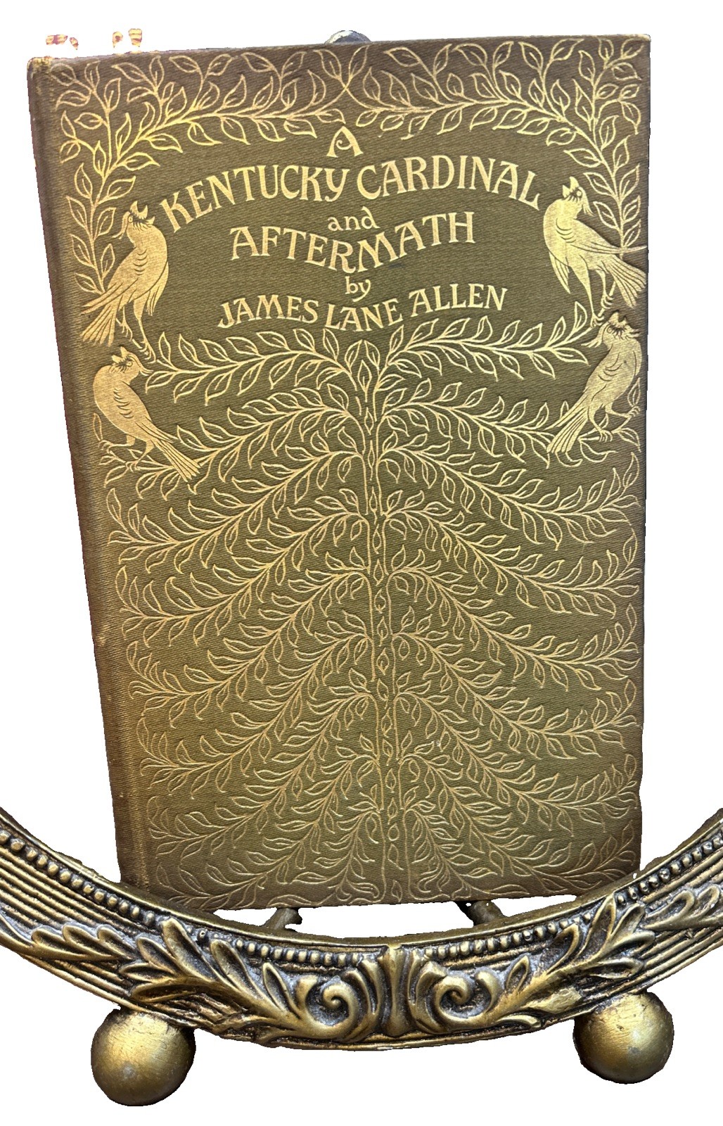 1900 Kentucky Cardinal Aftermath James Lane Allen Hugh Thomson Illustrated