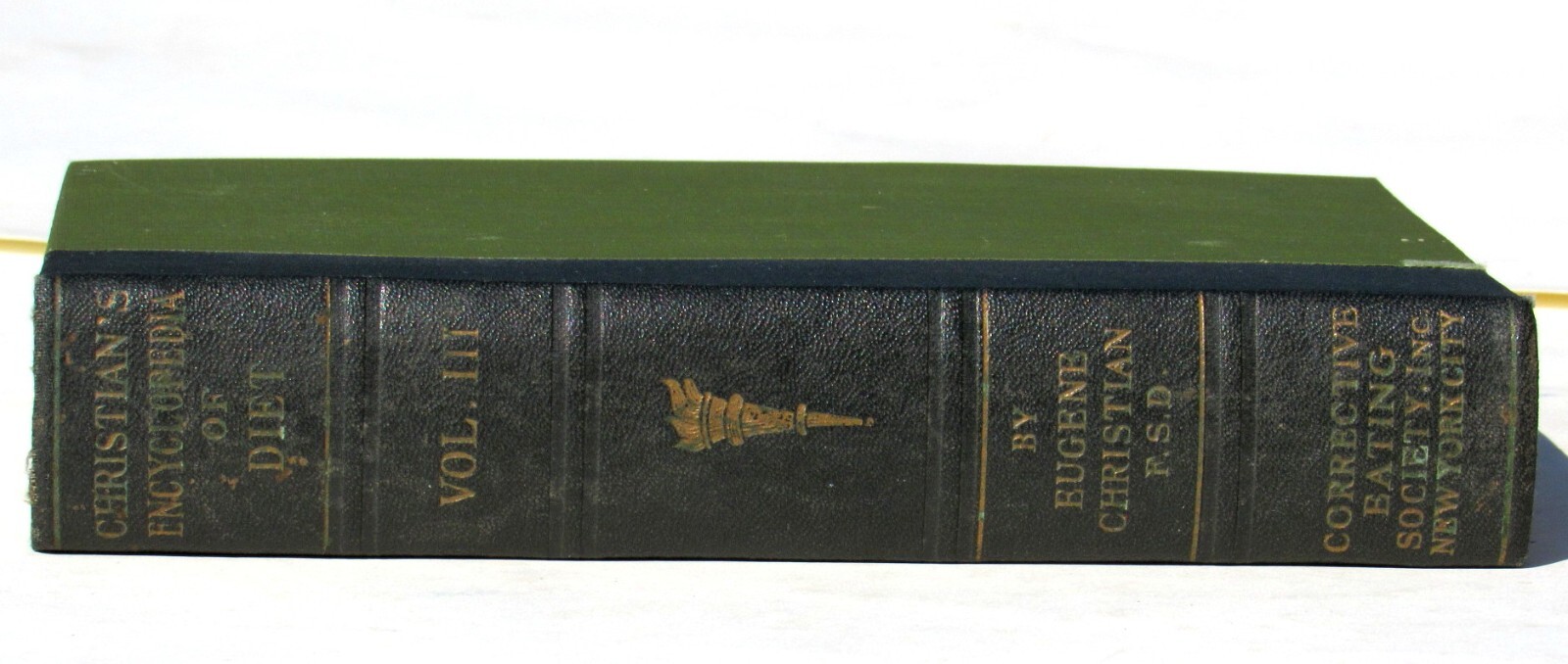1917 Eugene Christian’s Encyclopedia of Diet Vol 3 Curative Menus for healing