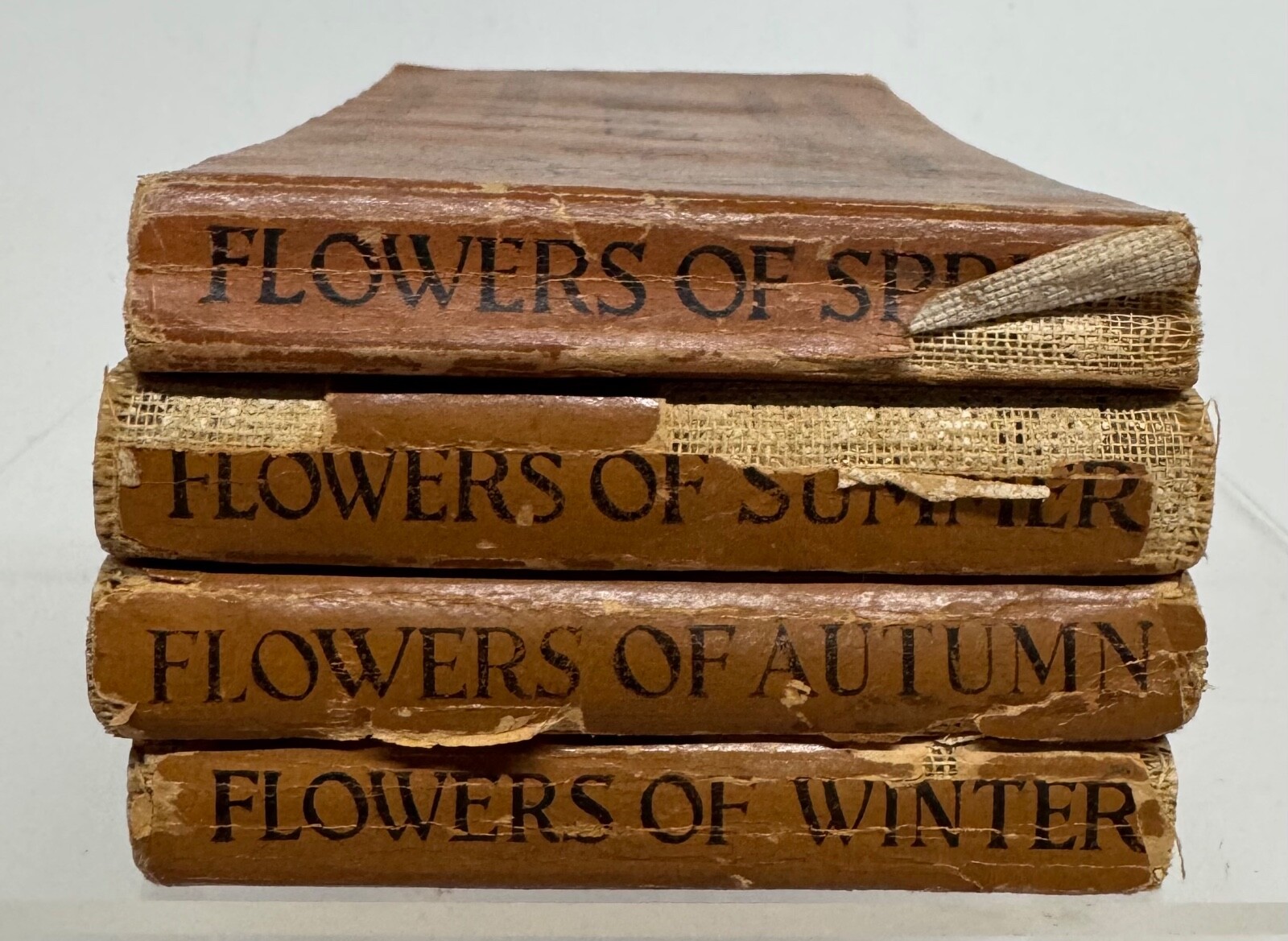 Pocket Library Garden Library 4 Seasons Ellen Eddy Shaw 1917