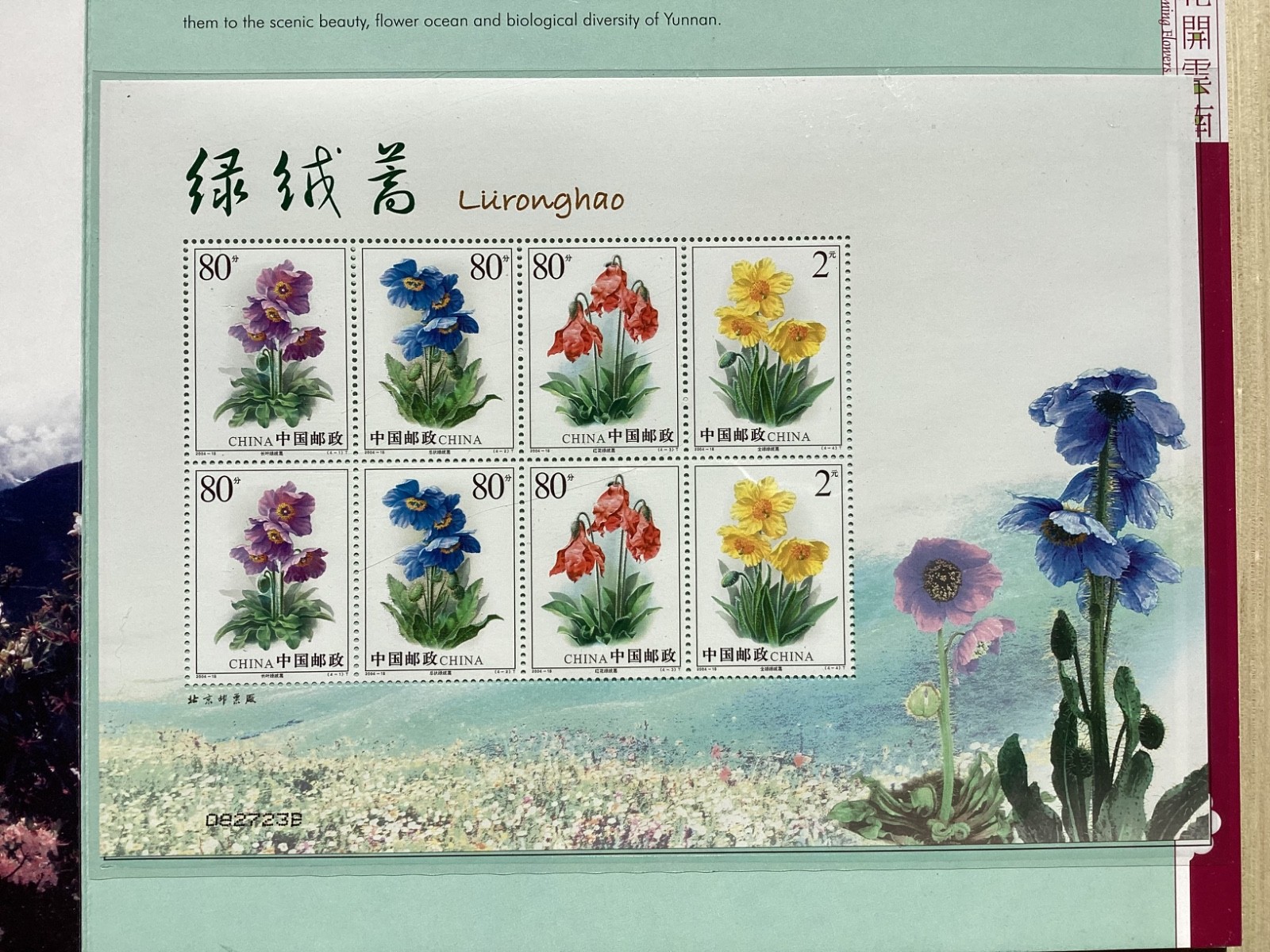 Blooming Flowers in Yunnan with MNH stamps China camellias etc in clamshell box