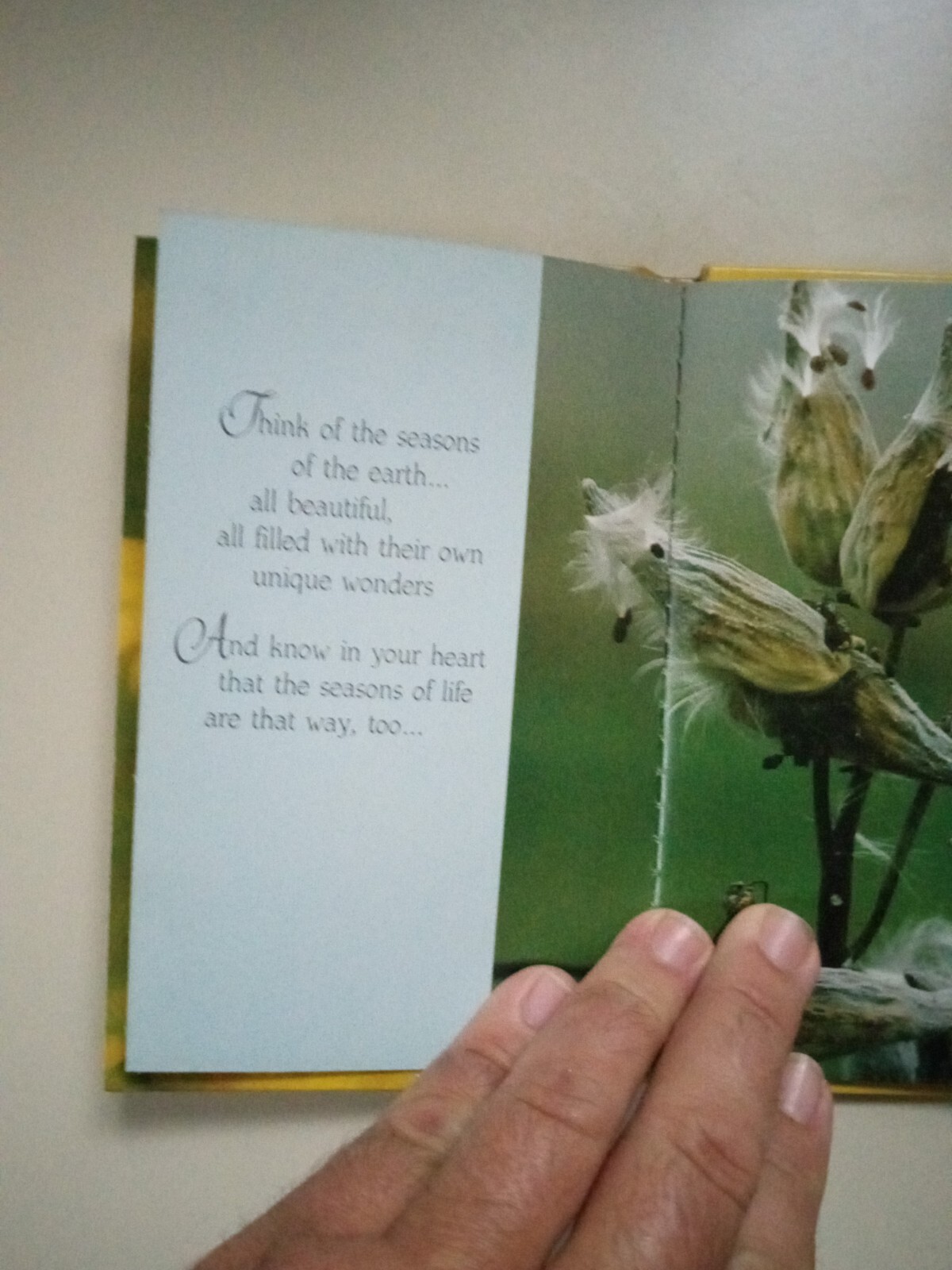 Some Special Thoughts To Keep You Company Hardcover Treasury Of Thoughts