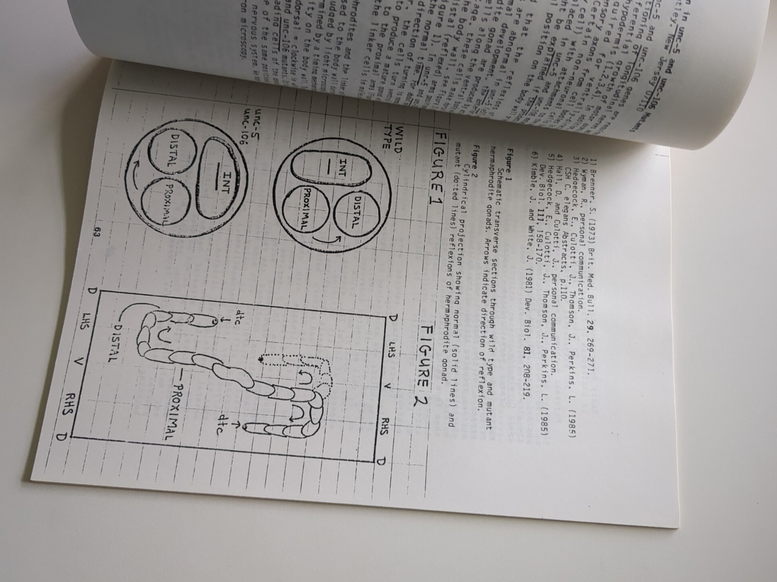 Worm Breeder’s Gazette Volume 9 No 3 1986 – George Poinar Jr. Estate