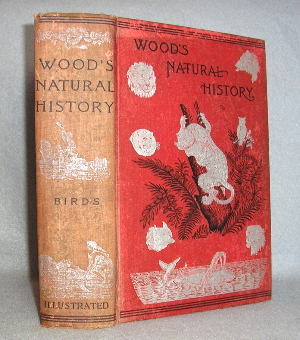 Antique Decorative Animals Book Wood’s Natural History Birds Ornithology c.1890s