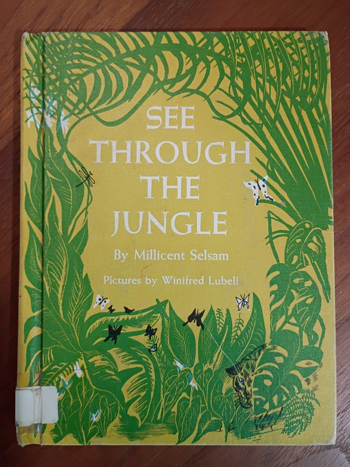See through the Jungle, Millicent Selsam, Hardcover HTF Vintage
