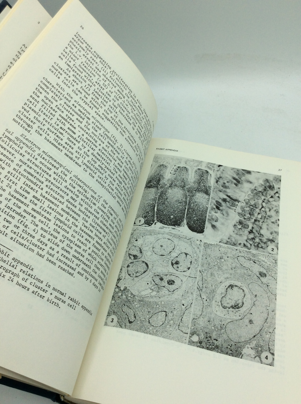MORPHOLOGICAL AND FUNCTIONL ASPECTS OF IMMUNITY – 1971 – Science –