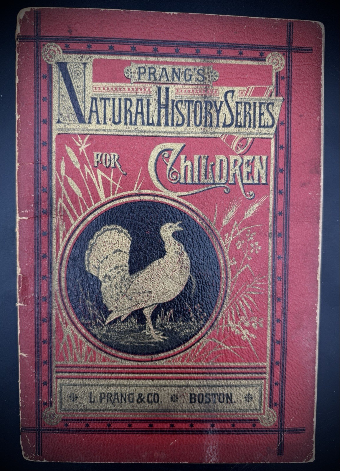 1878 Prang’s Natural History Series for Children Scratching Birds Antique Book