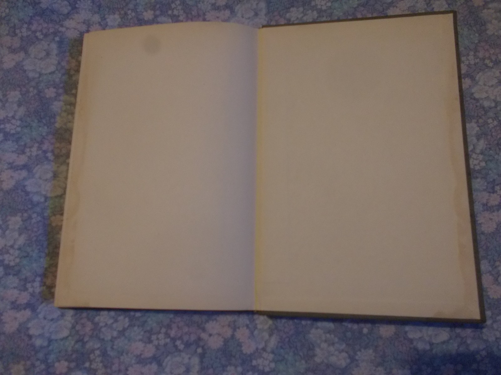 Paulo Volponi THE MEMORANDUM novel 1967 1st Italian interest forgotten authors