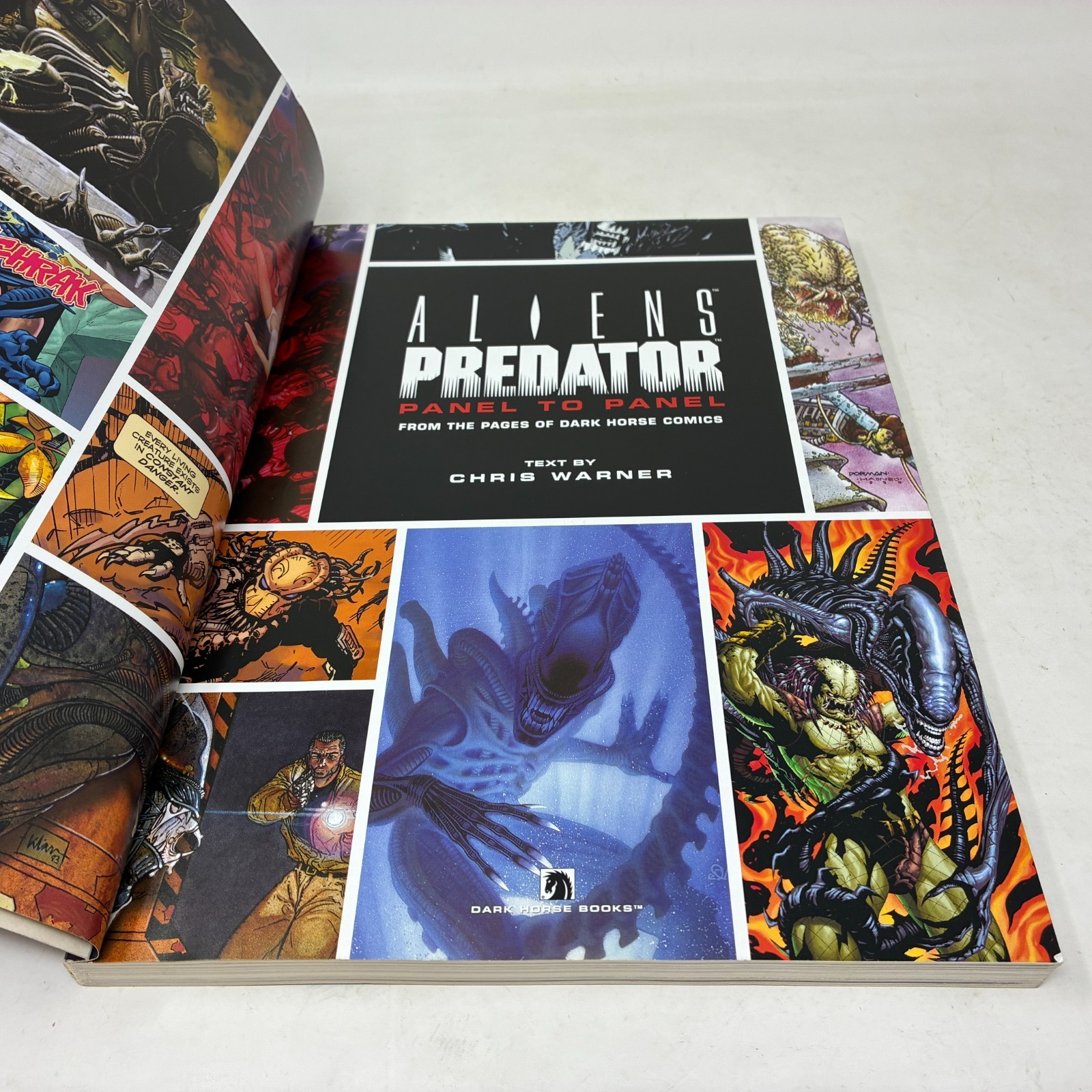 ALIENS PREDATOR Panel to Panel. 2006 1st Ed. Dark Horse Graphic Novel by Warner