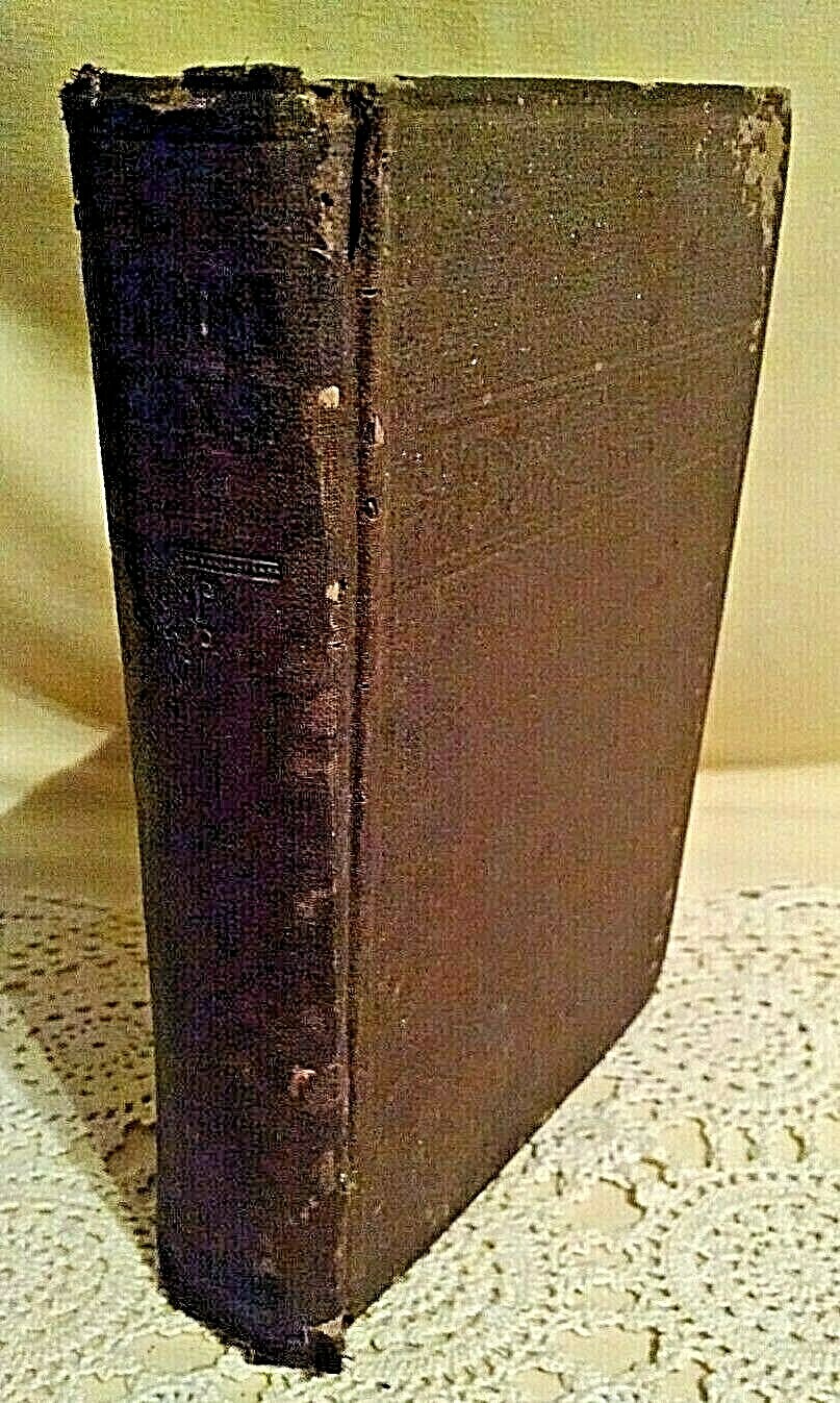 ESSAYS REVIEWS THEOLOGY POLITICS SOCIALISM O A BROWNSON LLD D&J SADLIER 1890*