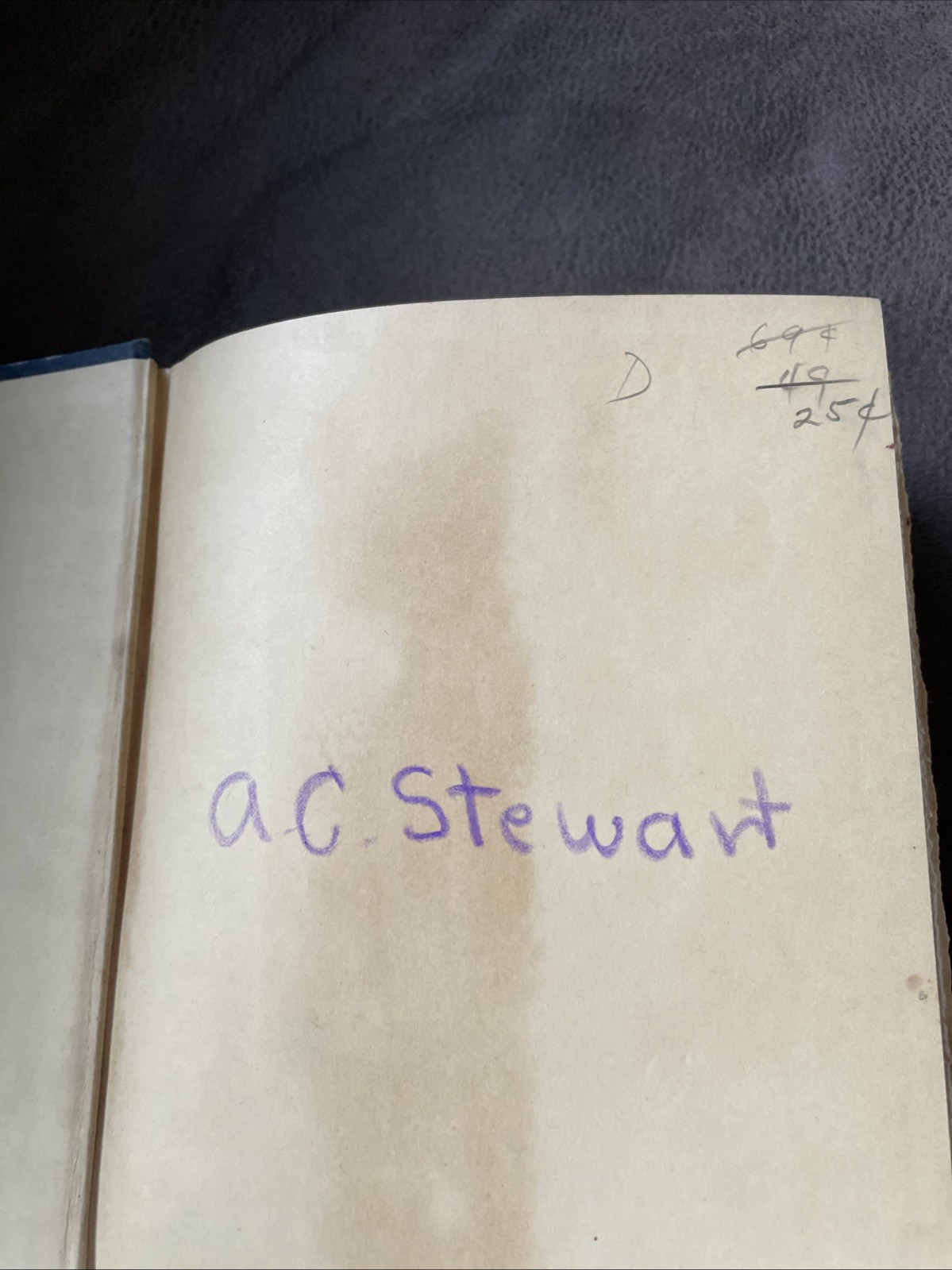 1936 The Dark Island by Vita Sackville-West Blue Linen HC Doubleday Book