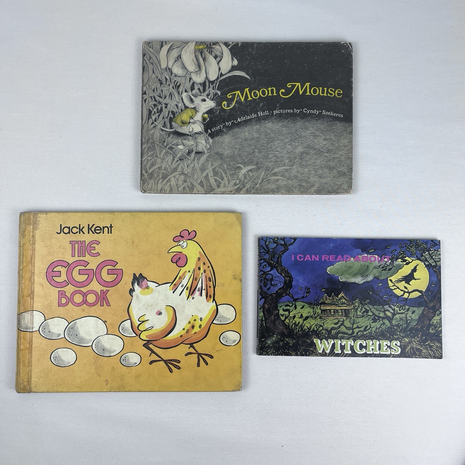 Vintage Children’s Landscape Reading Books Collectible Shelf Decor Lot of 3 Fic.