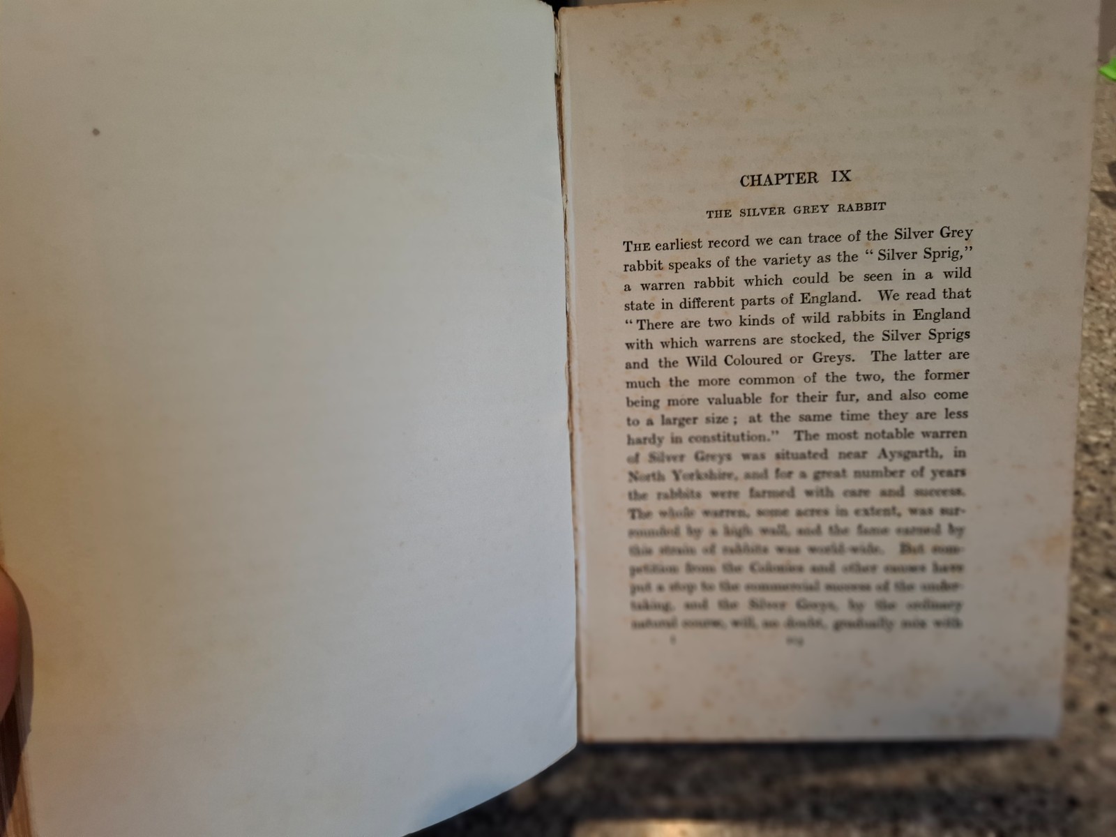 Practical Rabbit Keeping Illus. HB 1912 1st Ed George A Townsend Vintage Farming