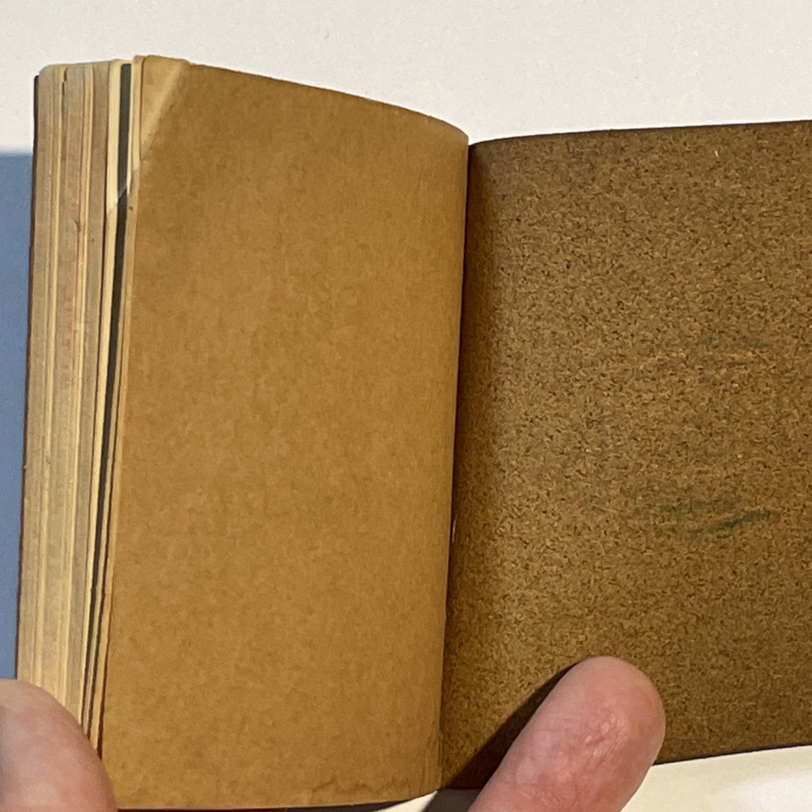 Little Leather Library IRISH MELODIES by THOMAS MOORE