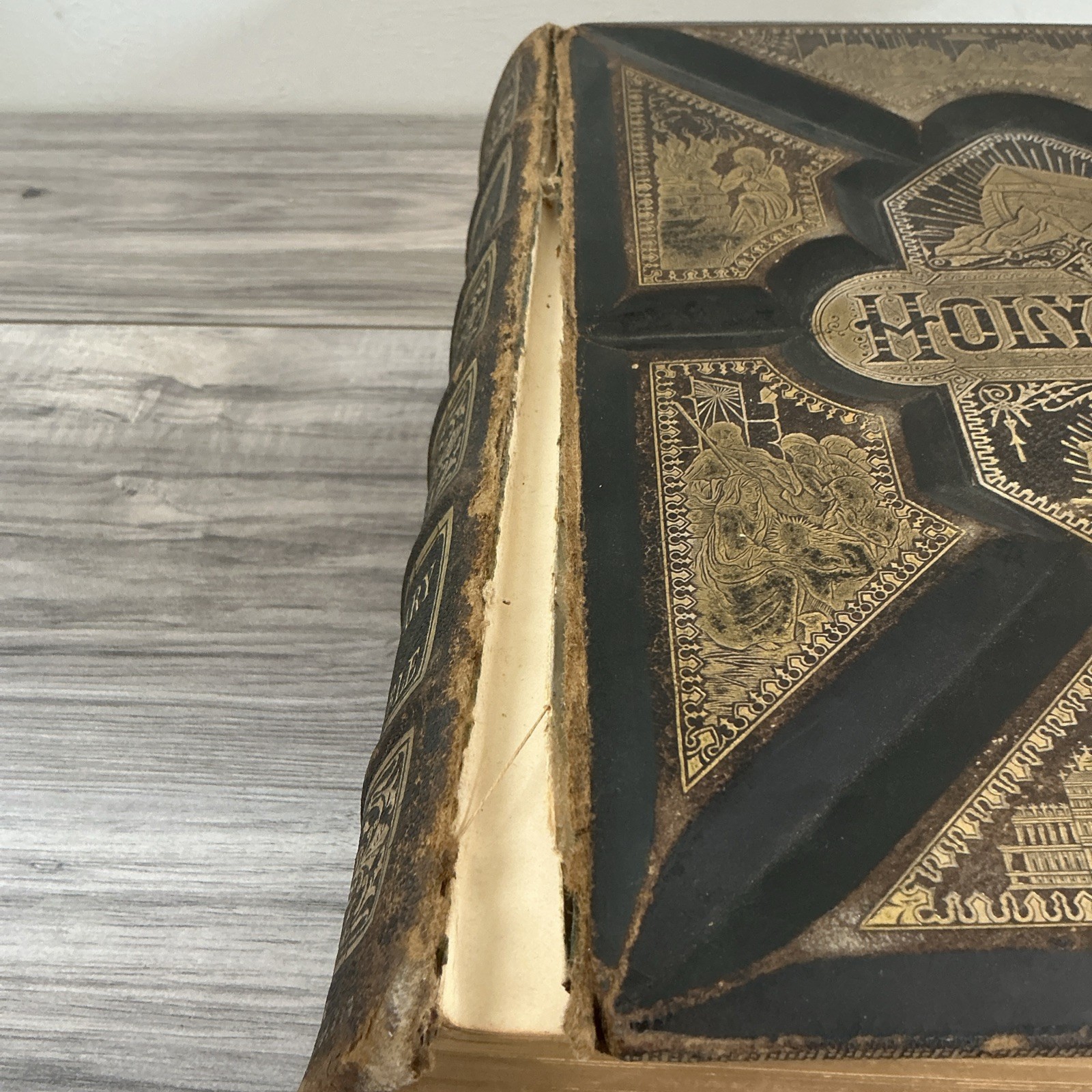 The Parallel Bible Old & New Testaments 2000 Illustrations 1885