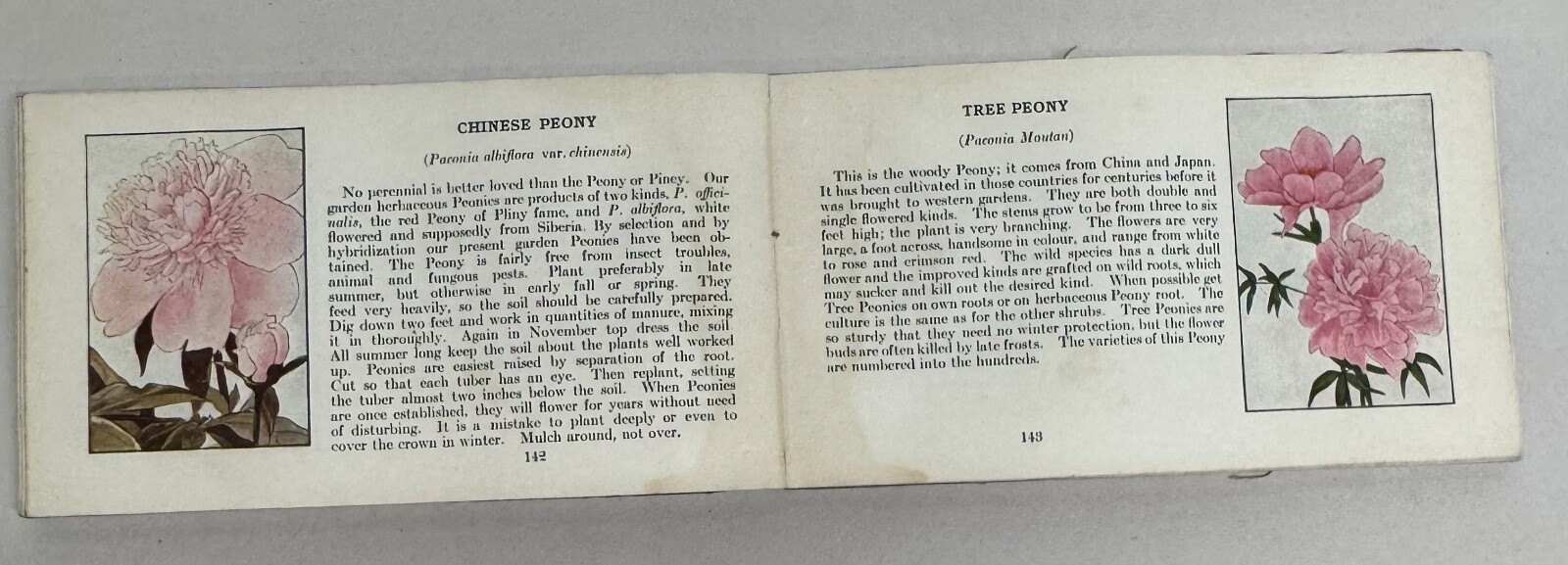 Pocket Library Garden Library 4 Seasons Ellen Eddy Shaw 1917