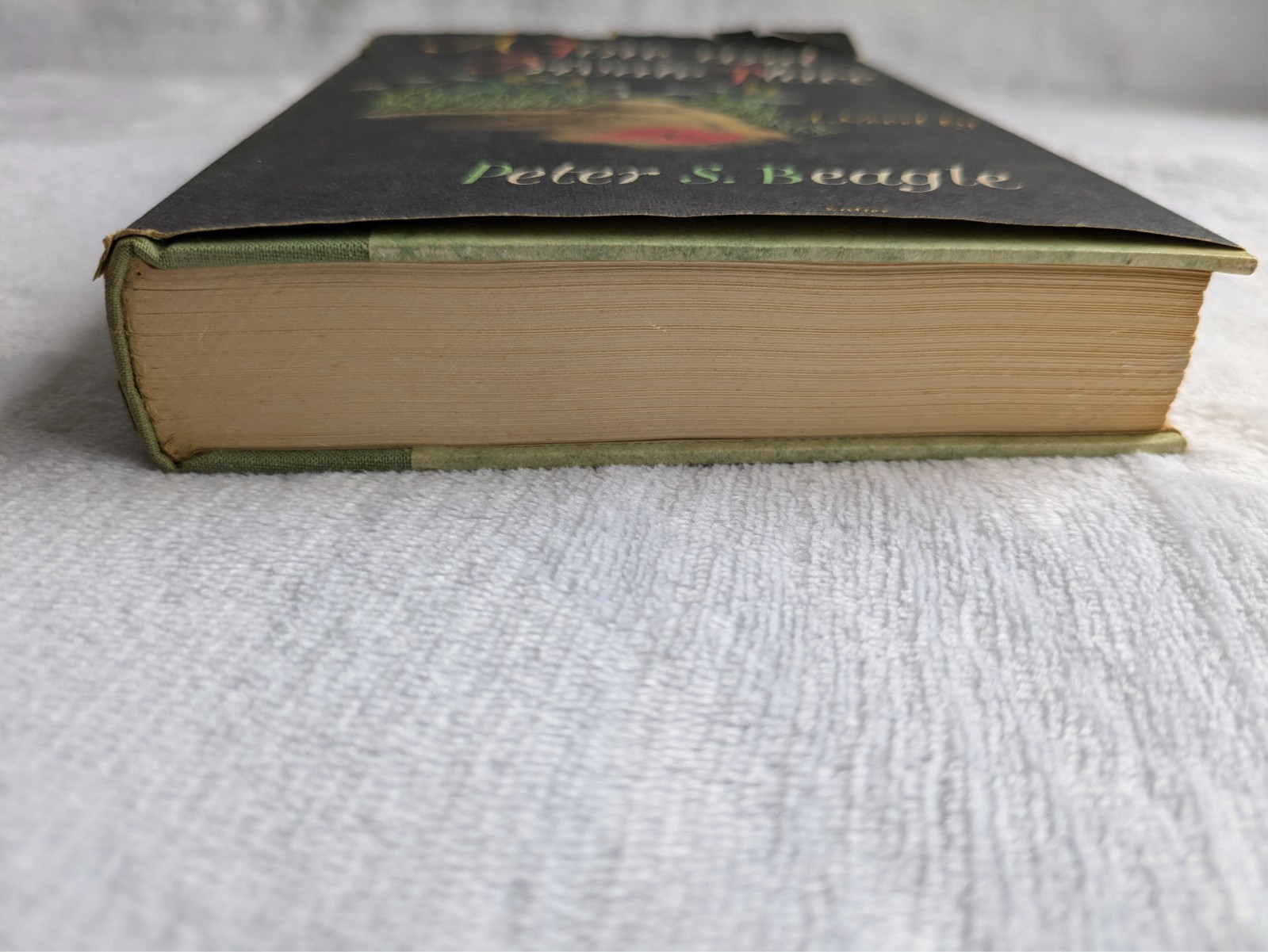 A Fine And Private Place Peter S. Beagle 1960 First Edition Hardcover Fantasy
