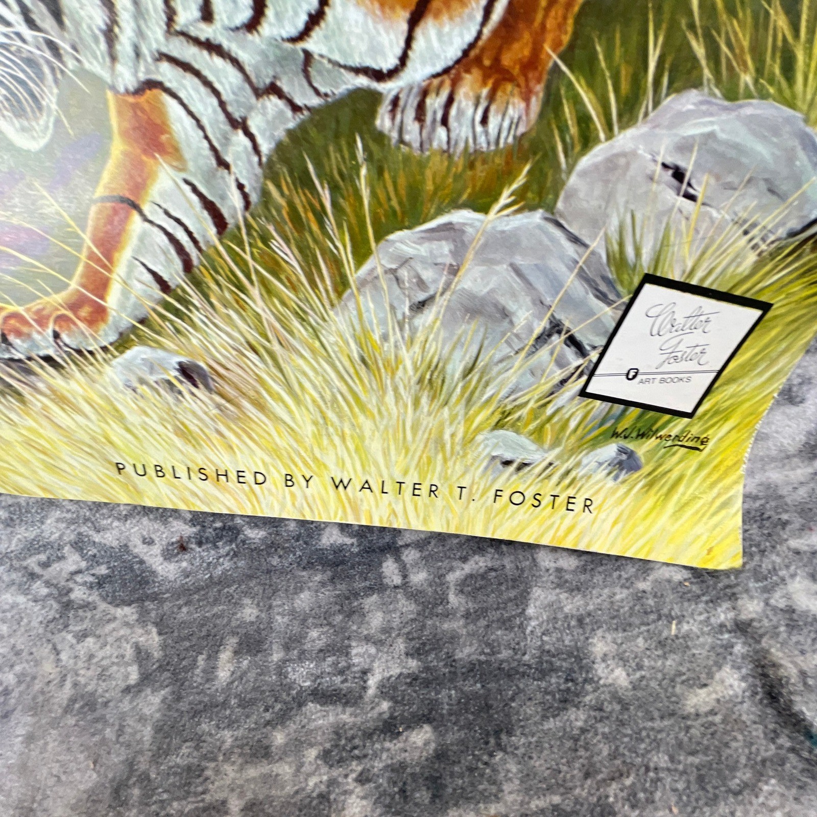 The Cats in Action Walter T Foster Art Book Walter Wilwerding Tiger Leopard