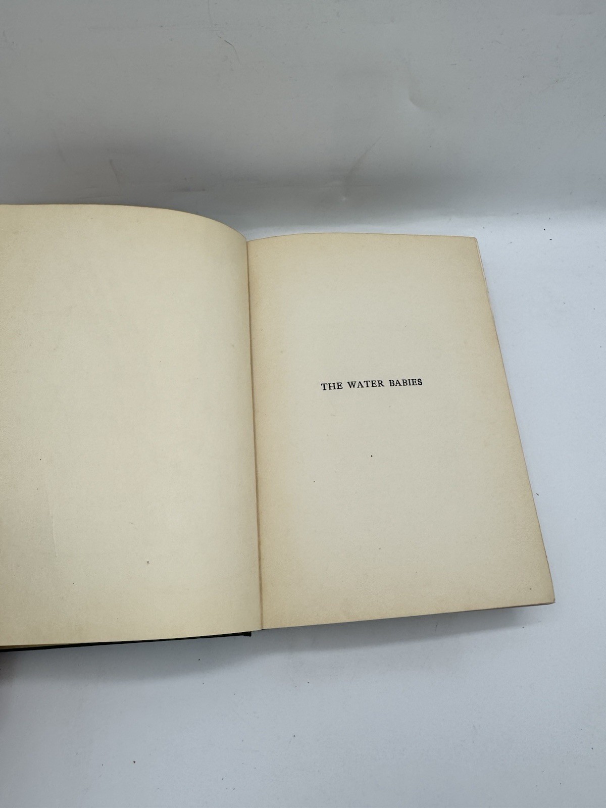 The Water Babies: A Fairy Story for a Land Baby, by Charles Kingsley, circa 1930