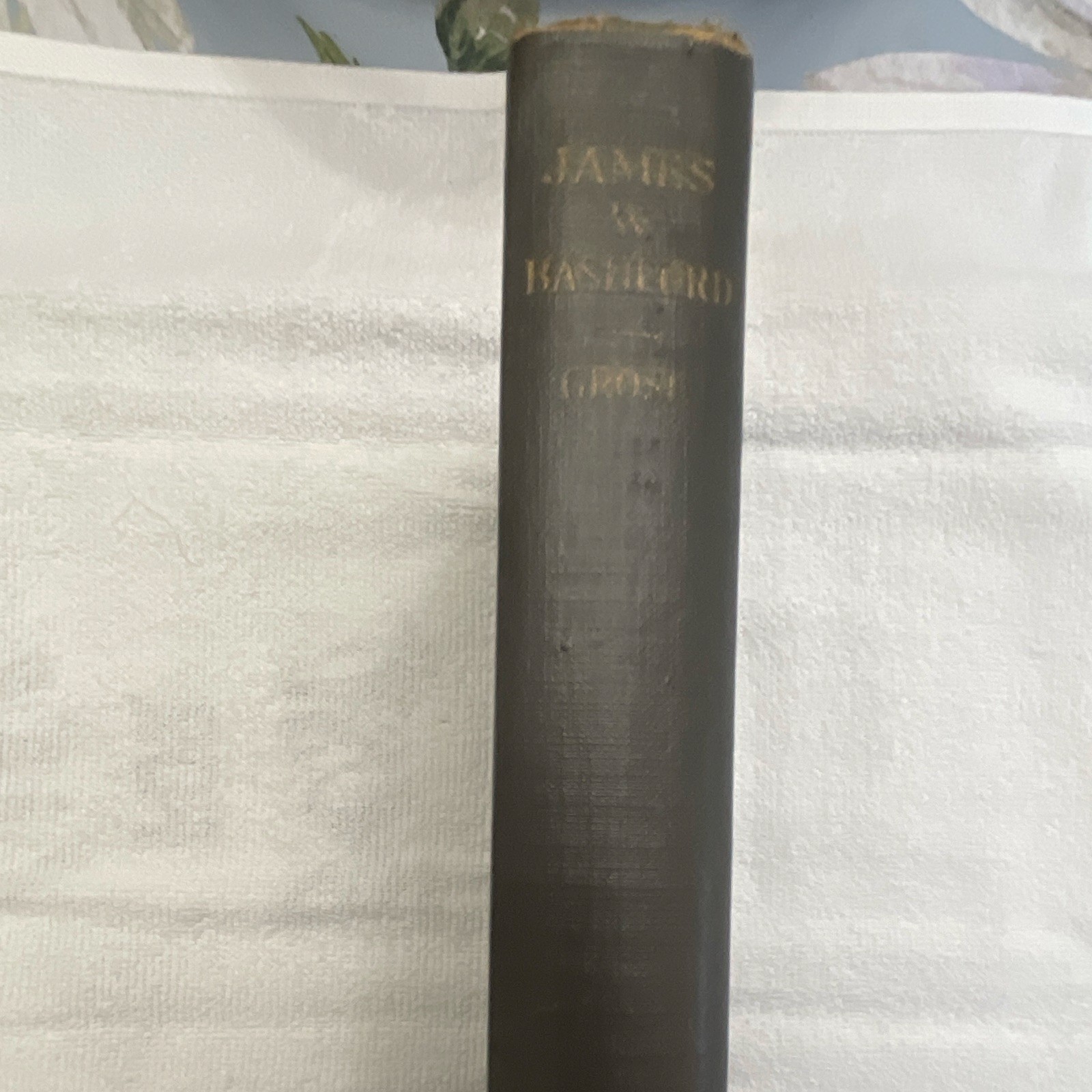 James W. Bashford: Pastor, Educator, Bishop George R Grose 1920 HC Illus