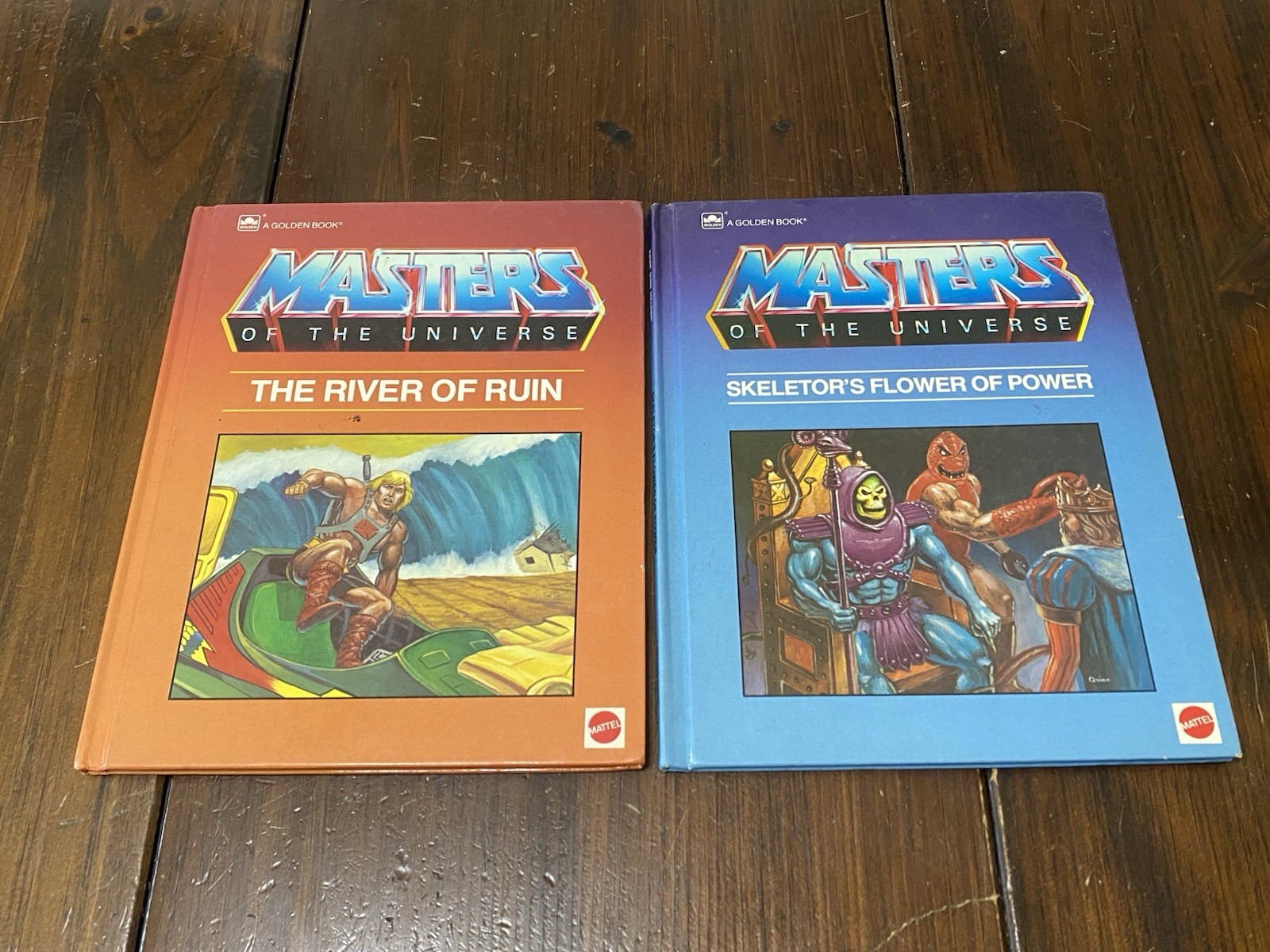 Masters Of The Universe VTG Books Skeletor’s Flower Of Power & The River Of Ruin
