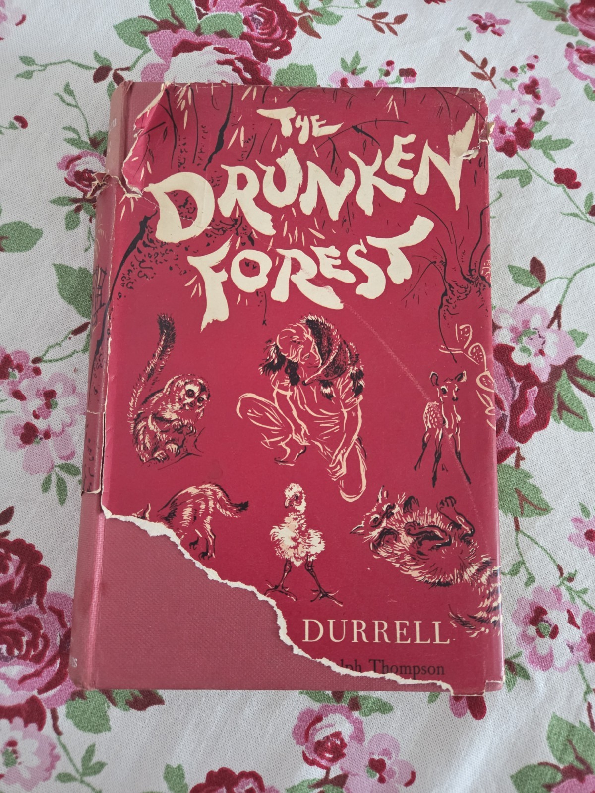 Vintage ‚The Drunken Forest‘ By Gerald Durrell Hardback Book 1956 Retro Adlard